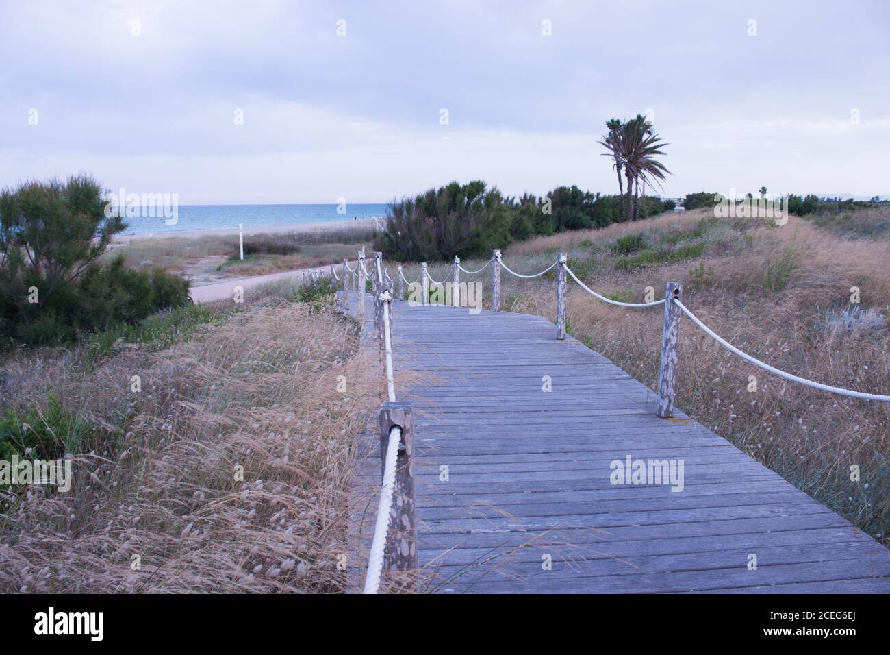 pasarela de madera con vegetación y palmeras alrededor, que te lleva directo a la playa Foto Stock