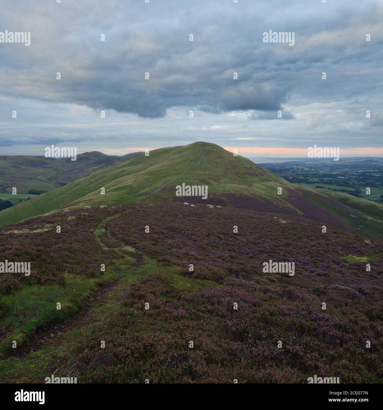 Un percorso tortuoso attraverso le colline Scozzesi al tramonto, il Parco Regionale di Pentland Hills, Scozia Foto Stock