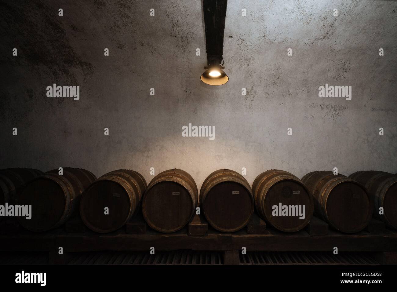 Delicata ed elegante volta di vino piena di ripiani di legno scuro con luce che splende dall'alto Foto Stock