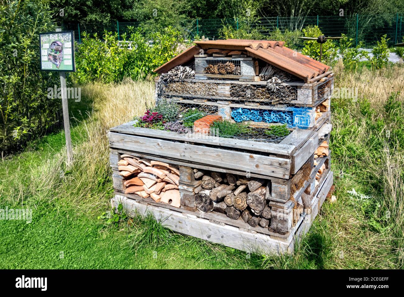 Bug o Insect Hotel Foto Stock