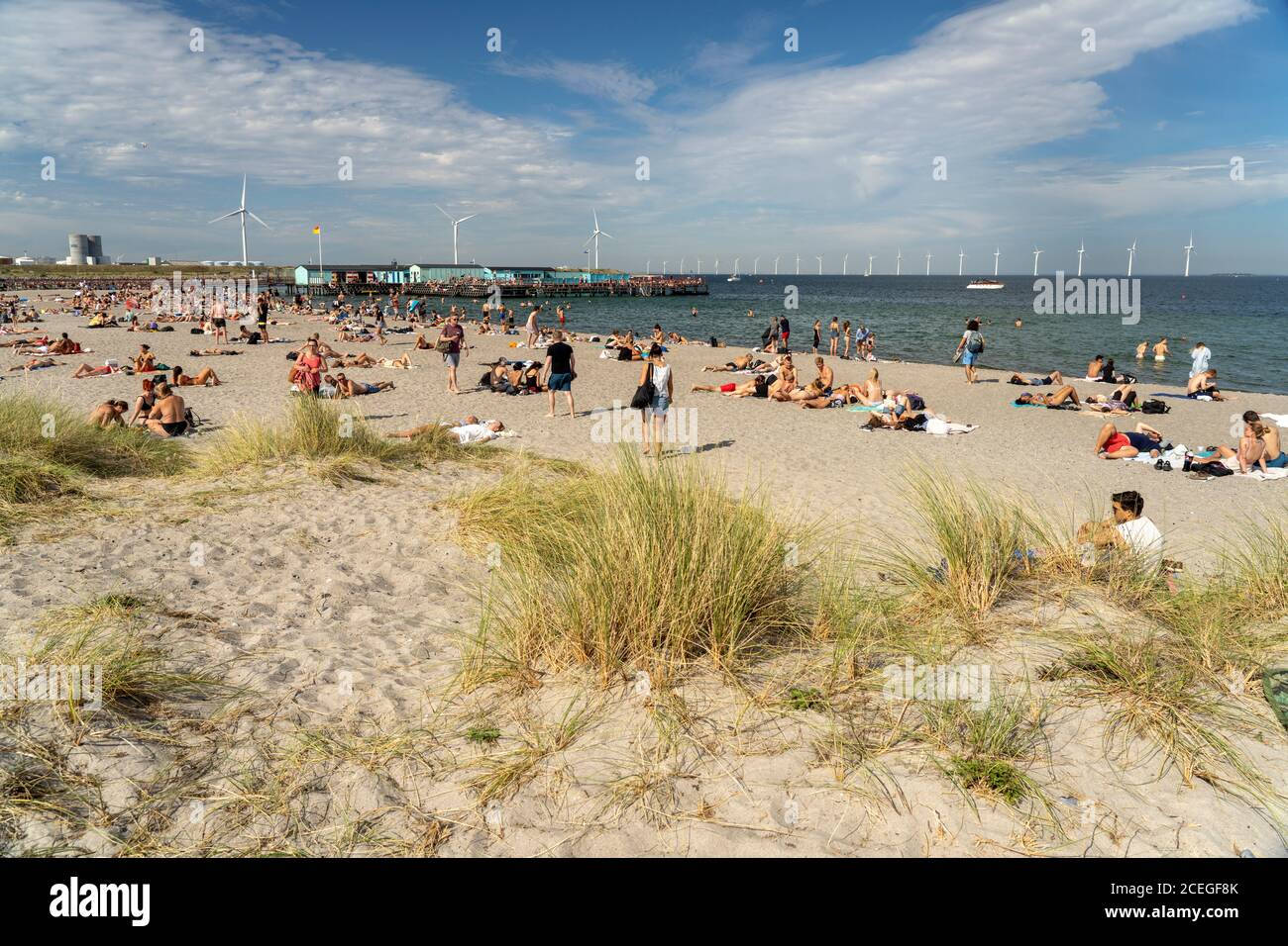Amager Strandpark in Kopenhagen, Dänemark, Europa | Amager Beach Park in Copenhagen, Danimarca, Europa Foto Stock