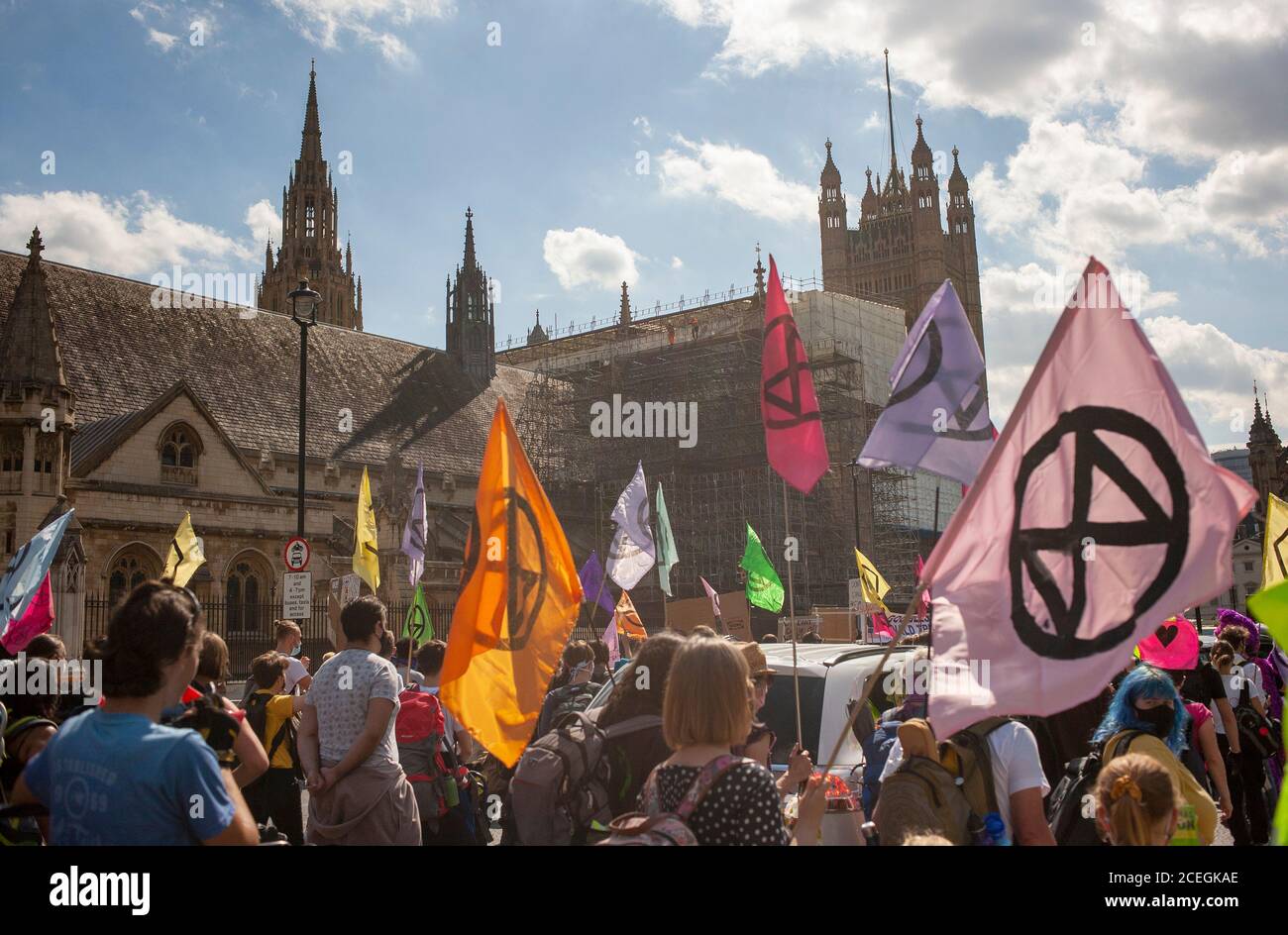 Estinzione i manifestanti della ribellione marciano davanti alle Camere del Parlamento che hanno bandiere colorate durante le dimostrazioni del 2020. REGNO UNITO Foto Stock