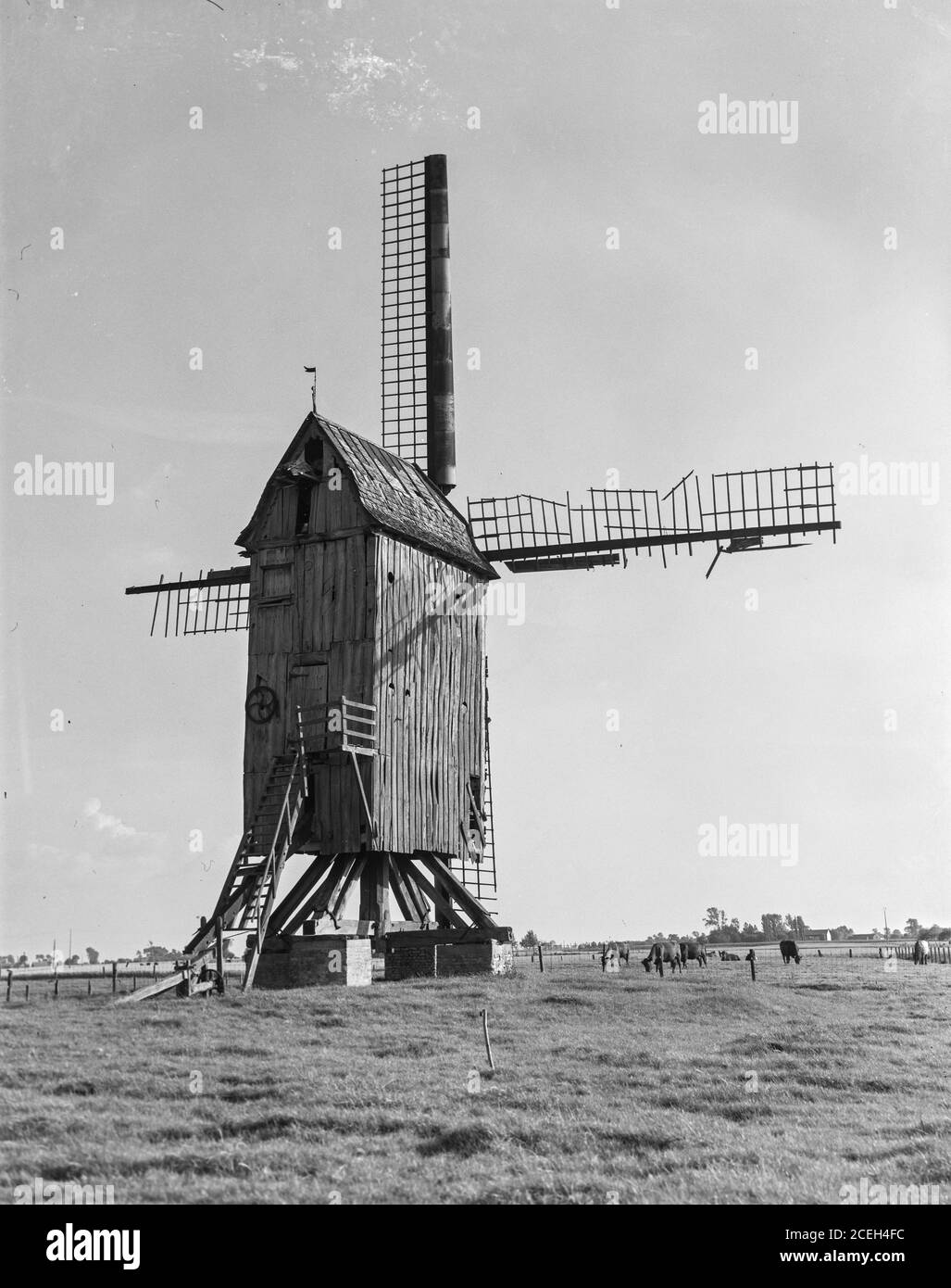 Vista in bianco e nero del mulino a vento in legno intemperie posto nel campo del Belgio alla luce del sole. Foto Stock