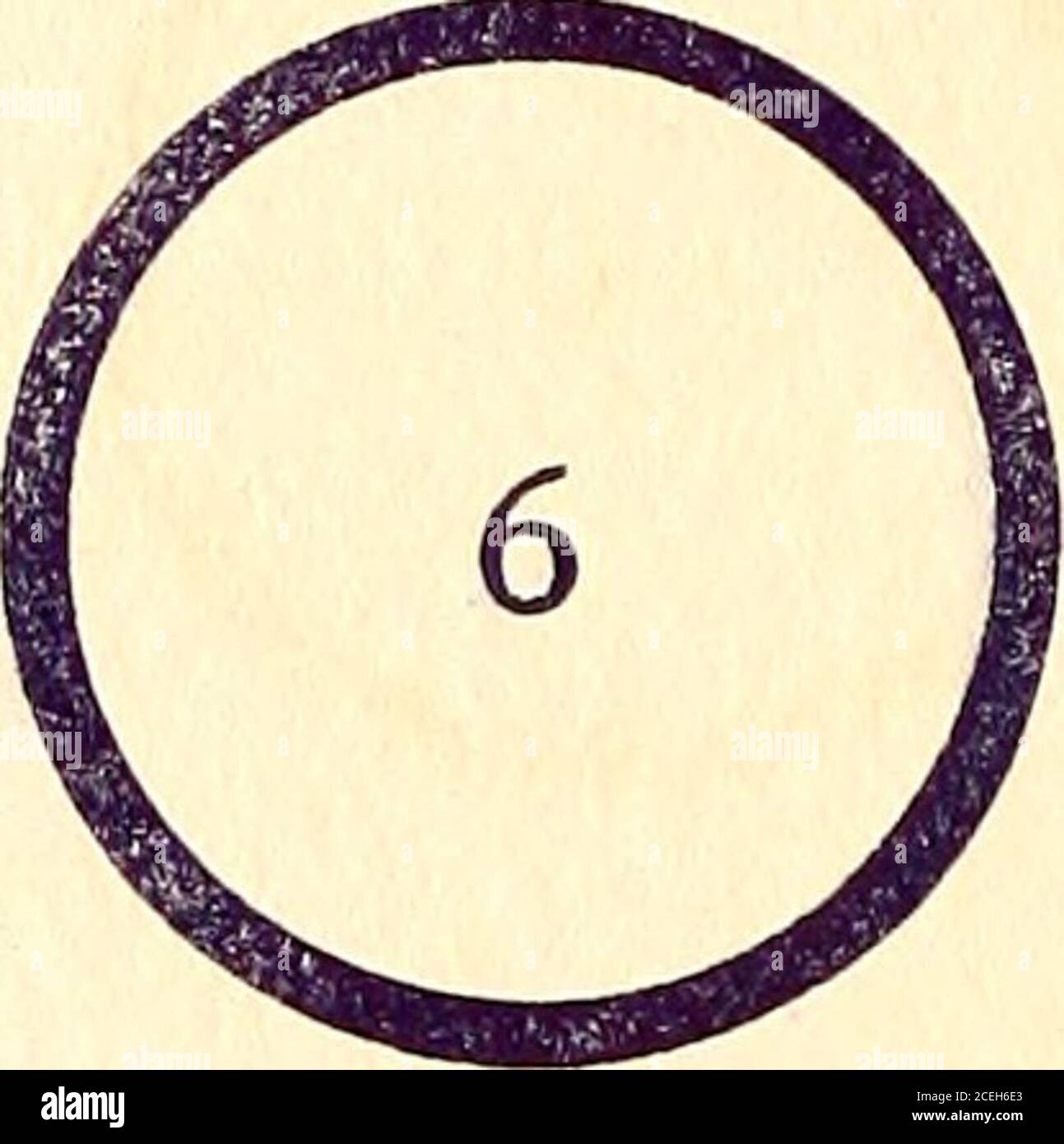 . Banchetto annuale in commemorazione della nascita di Abraham Lincoln, sotto gli auspici del Club Repubblicano della Città di New York, Waldorf-Astoria, Giovedi sera, 12 febbraio 1903. Sig.ra B. A. Newell.Mrs. J. F. Hitchcock.Mrs. H. S. Elliott.Sig.ra George Clinton Batcheller, Sig.ra Geo.head. W. White- Sig.ra Arthur B. War-ing. Sig.ra Isaac Bell Bren-nan. Sig.ra Charles H. Ten-ney.. Sig.ra Morgan J. (yBrien. Sig.ra Henry B. pianta. Sig.ra Vernon M. Davis Sig.ra Morris J. Hirsch. Sig.ra Chas. H. Patrick. Sig.ra J. Edgar Leay-Craft. Sig.ra Leaycraft. Sig.ra Donald McLean. Sig.ra Clarence A. Post-ley. Foto Stock