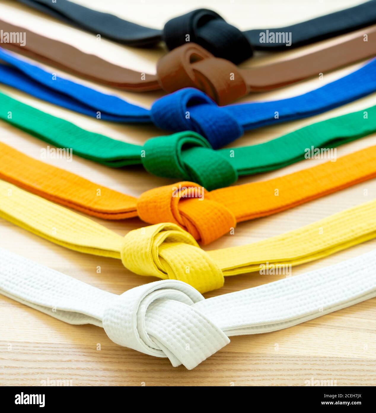 Le cinture colorate delle arti marziali su uno sfondo di legno Foto stock -  Alamy