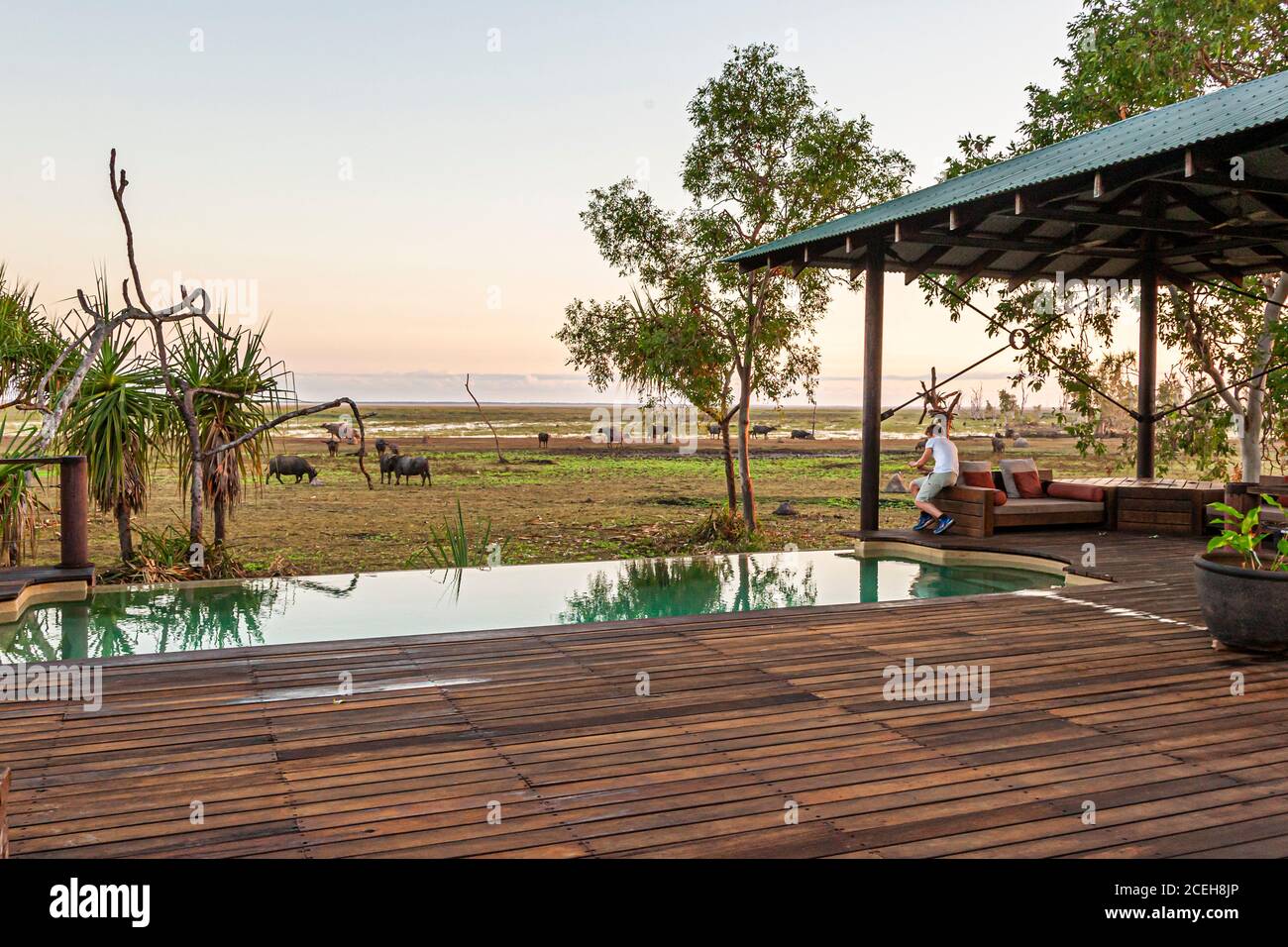 Tramonto con bufali d'acqua al Bamurru Plains Lodge, Northern Territory, Australia Foto Stock