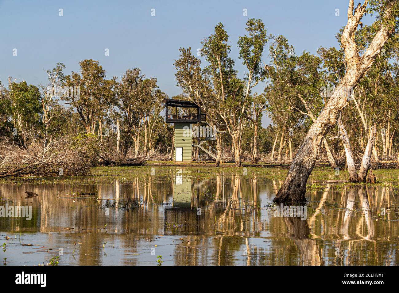 Posto alto a Bamurru Plains Foto Stock