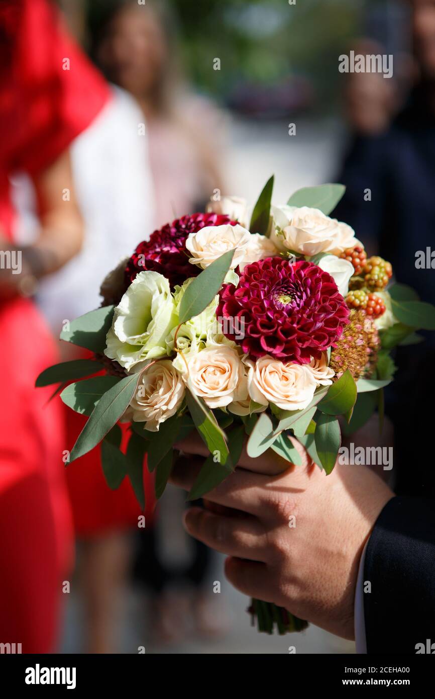 Lo sposo porta un bouquet per la sposa. Sposare con bouquet nuziale di rose, bacche e dahlias Foto Stock