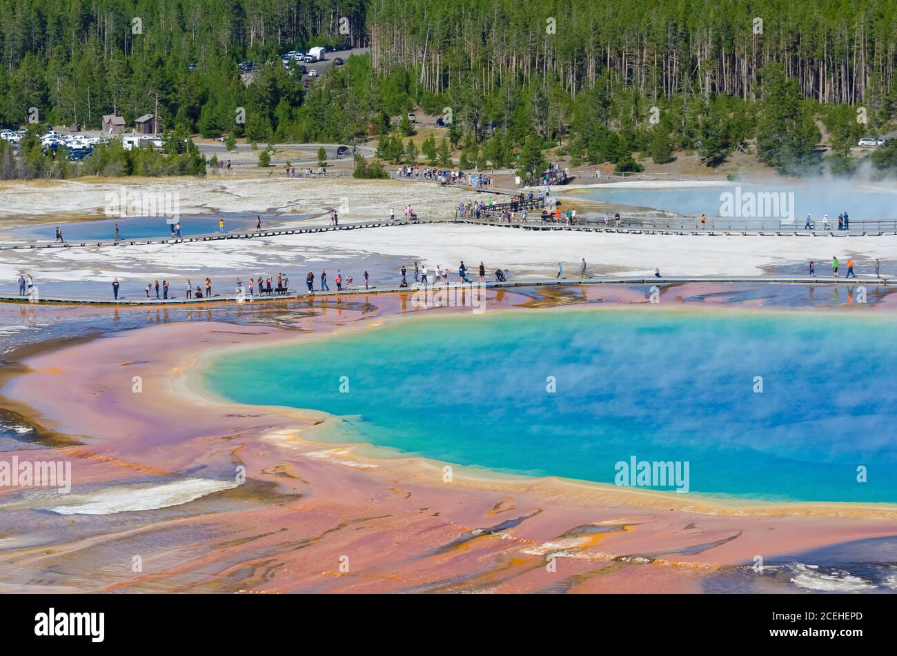 Grand Prismatic Spring nel parco nazionale di Yellowstone, Stati Uniti, visto dal punto di osservazione del sentiero delle Fairy Falls Foto Stock