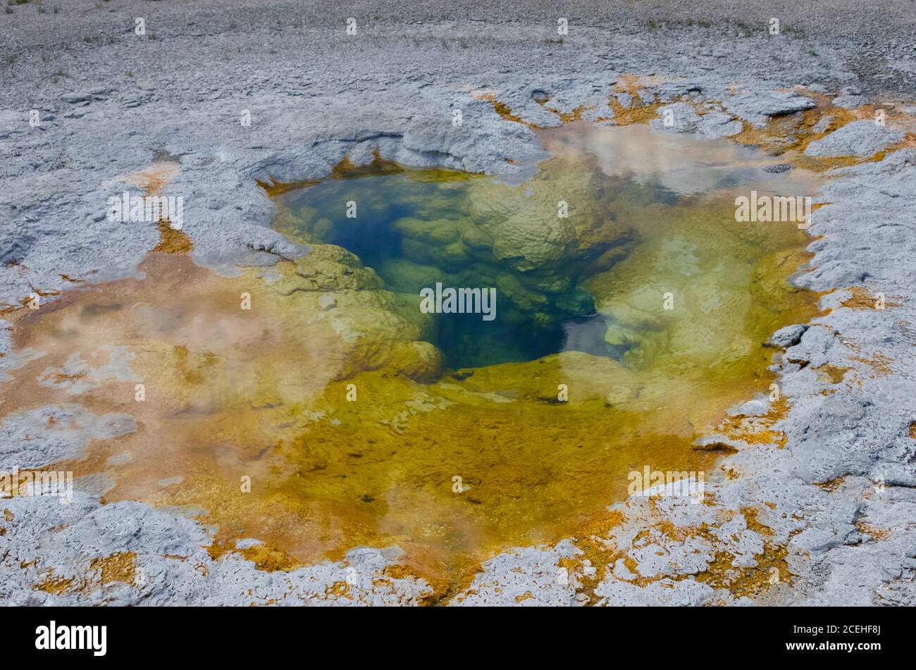 Parco Nazionale di Yellowstone, STATI UNITI D'AMERICA Foto Stock