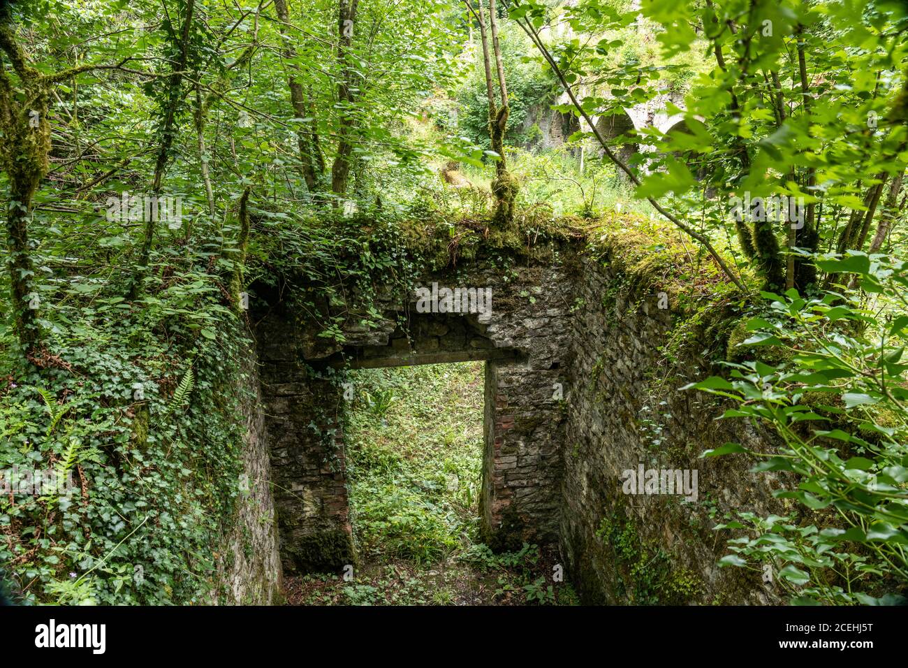 Abbandonati Fussell Old Iron Works, Mells, Somerset, Inghilterra, Regno Unito Foto Stock