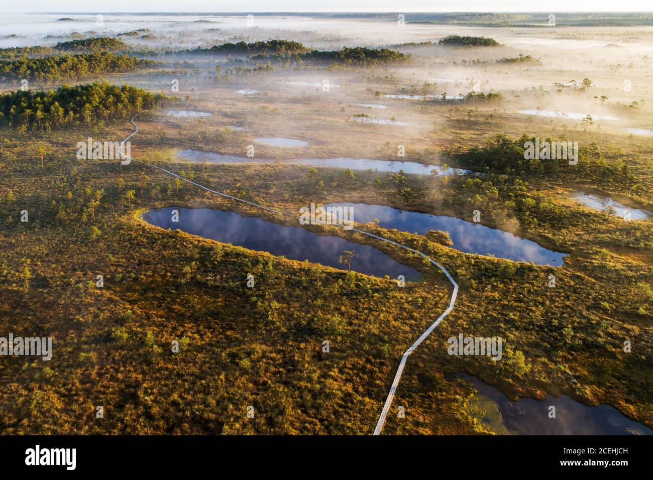 Una vista aerea di un sentiero escursionistico attraverso una palude con laghi di palude durante un'alba nel Parco Nazionale di Soomaa, Estonia, Nord Europa. Foto Stock