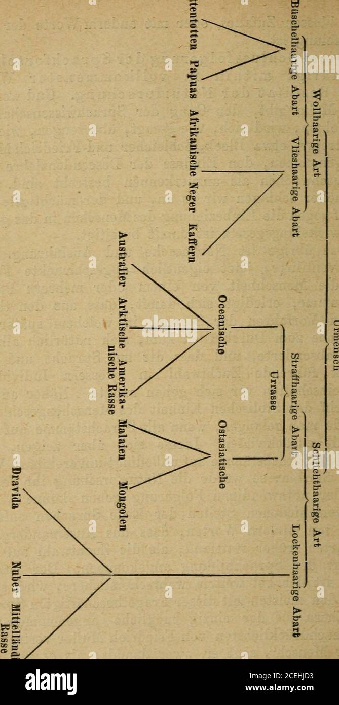 . Dienstleistungen und Verkauf von Dienstleistungen und Verkauf von Dienstleistungen und Verkauf von Dienstleistungen und Verkauf führende in grössern Individuen-gemeinschaften vor sich gehen musste. Näher an denBegriff der bibliischen Einheit des Menschengeschlechtswürde man gelangen, wenn alle Sprachstämme auf einequelle zurückwiesen. Liesse sich aber zeigen, dassgewisse Sprachstämme auf unbedingt unvereinbare WUR-zeln führten, so würde die Naturforschung ihr Jawortzu der notwendigen Folgerung geben können, dassan verschiedenen Stellen der Erde Sprachen entstan-den, mit andern Attsl früher e Zufandas in Foto Stock