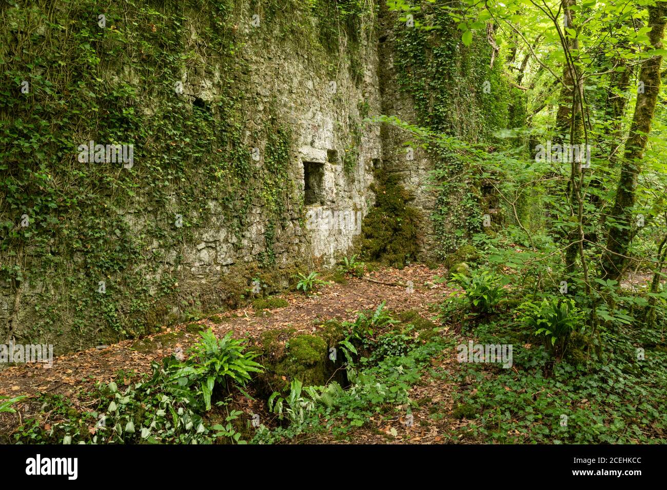 Abbandonati Fussell Old Iron Works, Mells, Somerset, Inghilterra, Regno Unito Foto Stock