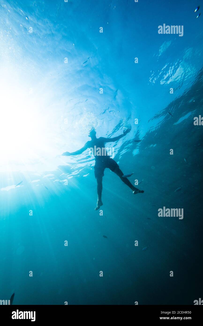 Dal basso vista di ragazzo nuotare in mare azzurro tra piccoli pesci Foto Stock