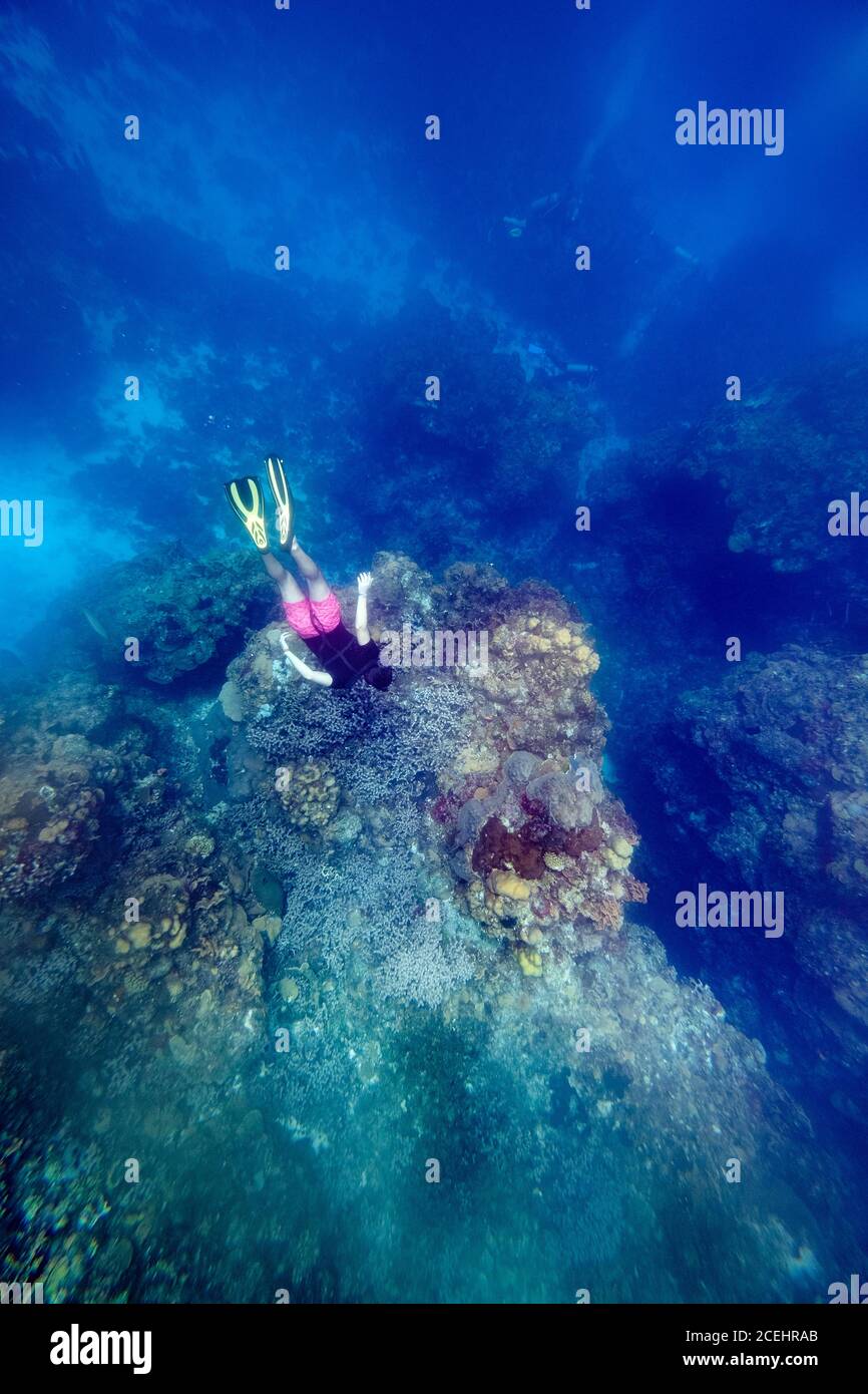 Dall'alto, una persona in pinne che nuotano tra i coralli in mare blu Foto Stock
