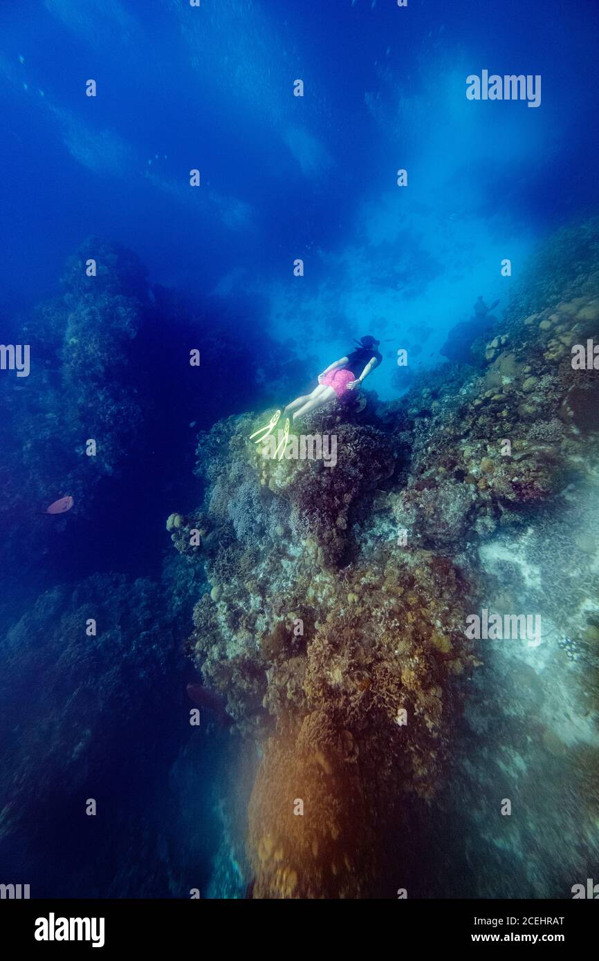 Immersione umana tra barriere coralline Foto Stock