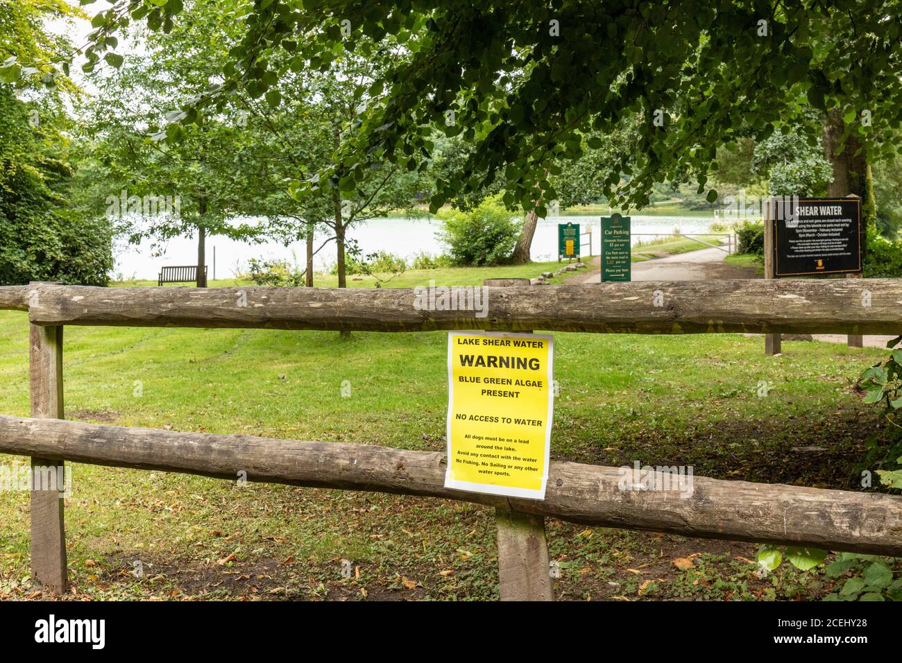 Il lago di Shearwater avviso di allaghe verdi blu che è presente in acqua e un pericolo. Longleat Estate, Wiltshire, Inghilterra, Regno Unito Foto Stock