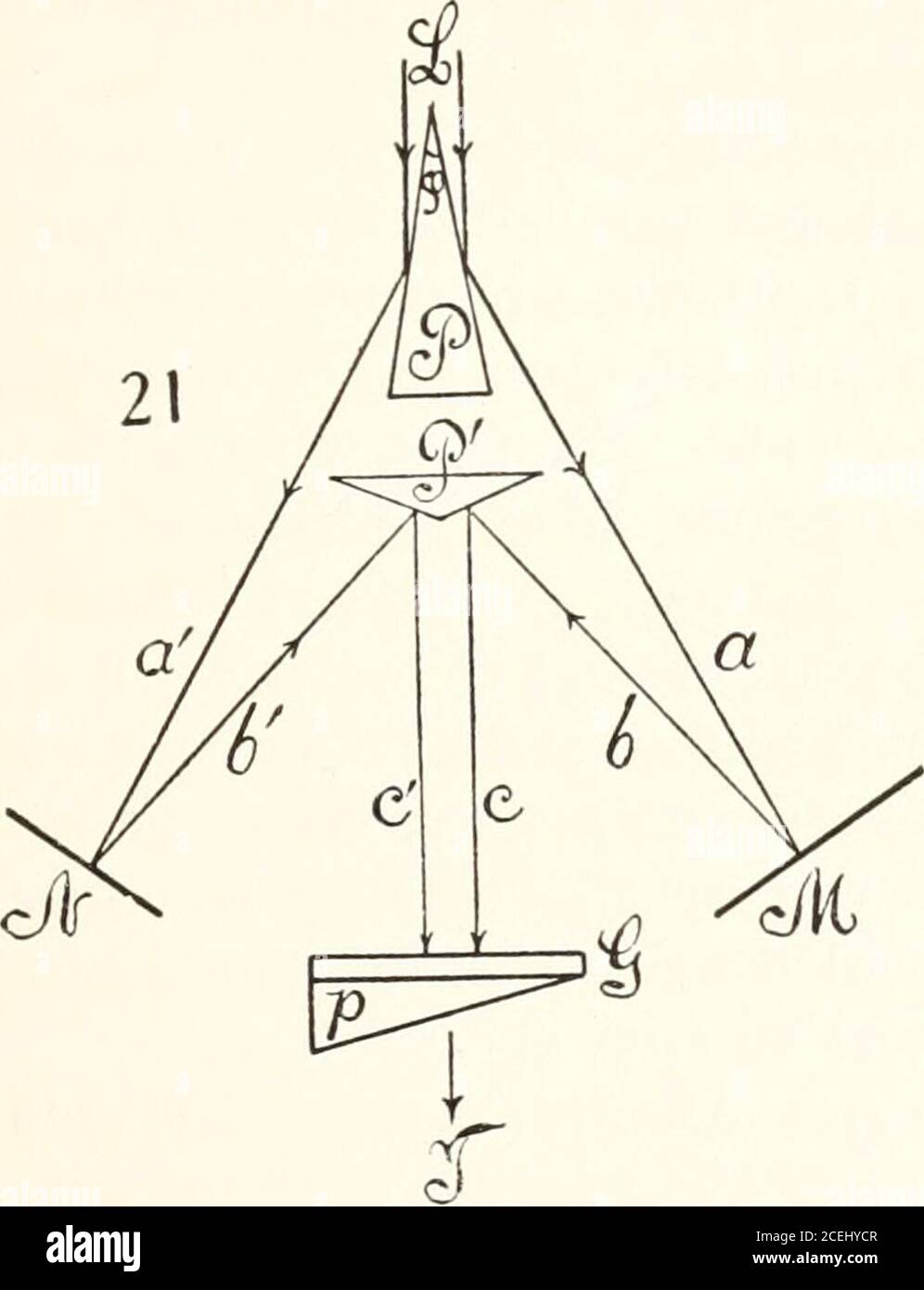 . Pubblicazione Carnegie Institution of Washington per la sovrapposizione di spettri non invertiti, SPETTRI INVERTITI E NON INVERTITI. 35 in condizioni in cui i percorsi dei raggi componenti possono avere una resistenza qualunque. Si tratta quindi di un'estensione essenziale del metodo (fig. 21) riportato nella relazione precedente (PPF, prismi; M, N, specchi; GP, Ives prismgrating; T, telescopio), dove le differenze di percorso erano essenzialmente piccole e gli spettri invertiti. In figura 22, P è il primo prisma che scinde il fascio bianco L, diffratto dalla fessura del collimatore. M e N sono gli specchi opachi, il primo acceso Foto Stock