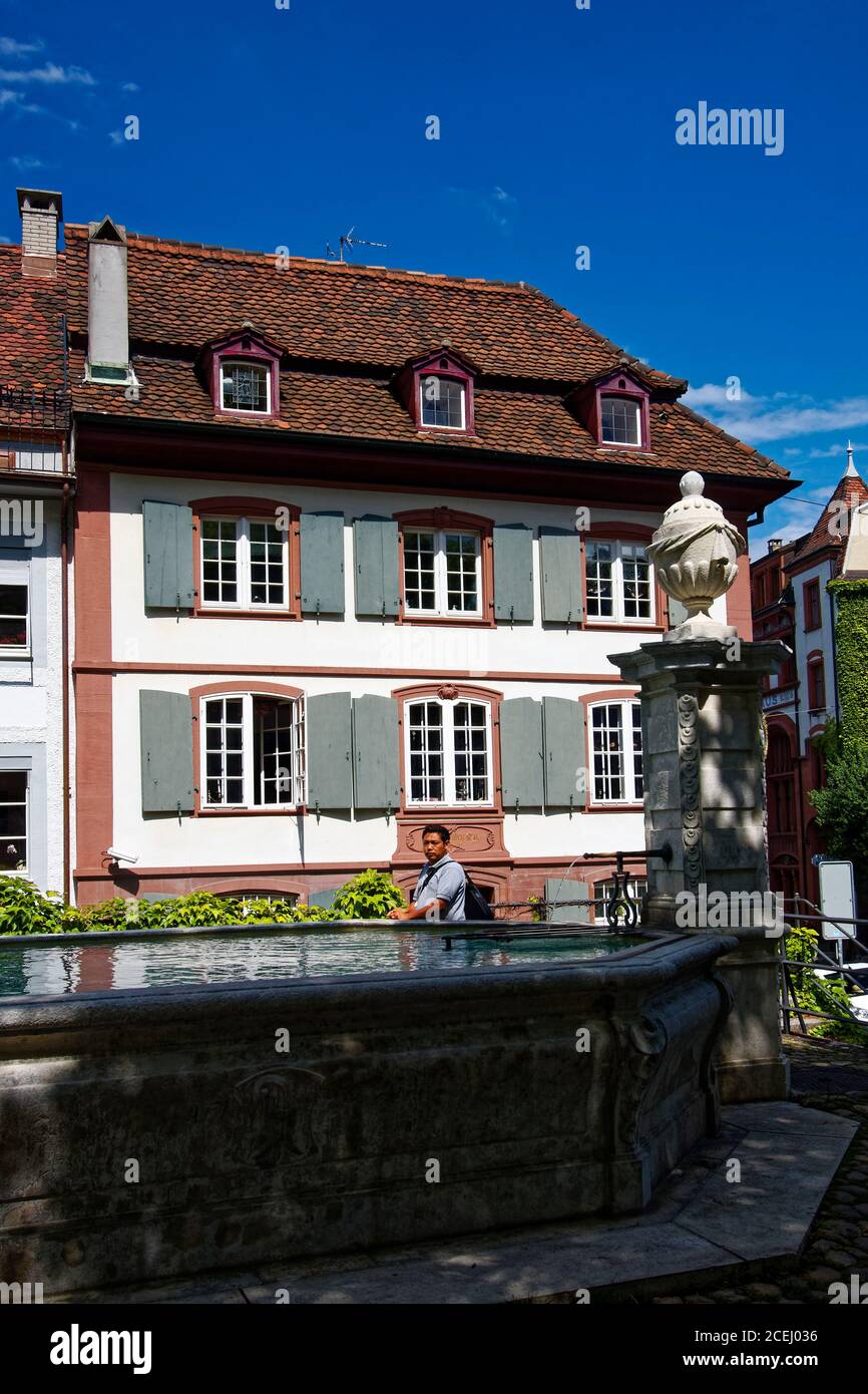 fontana; grande bacino, acqua, edificio antico; scena stradale; paesaggio urbano, Università di base; Europa; Basilea; Svizzera Foto Stock