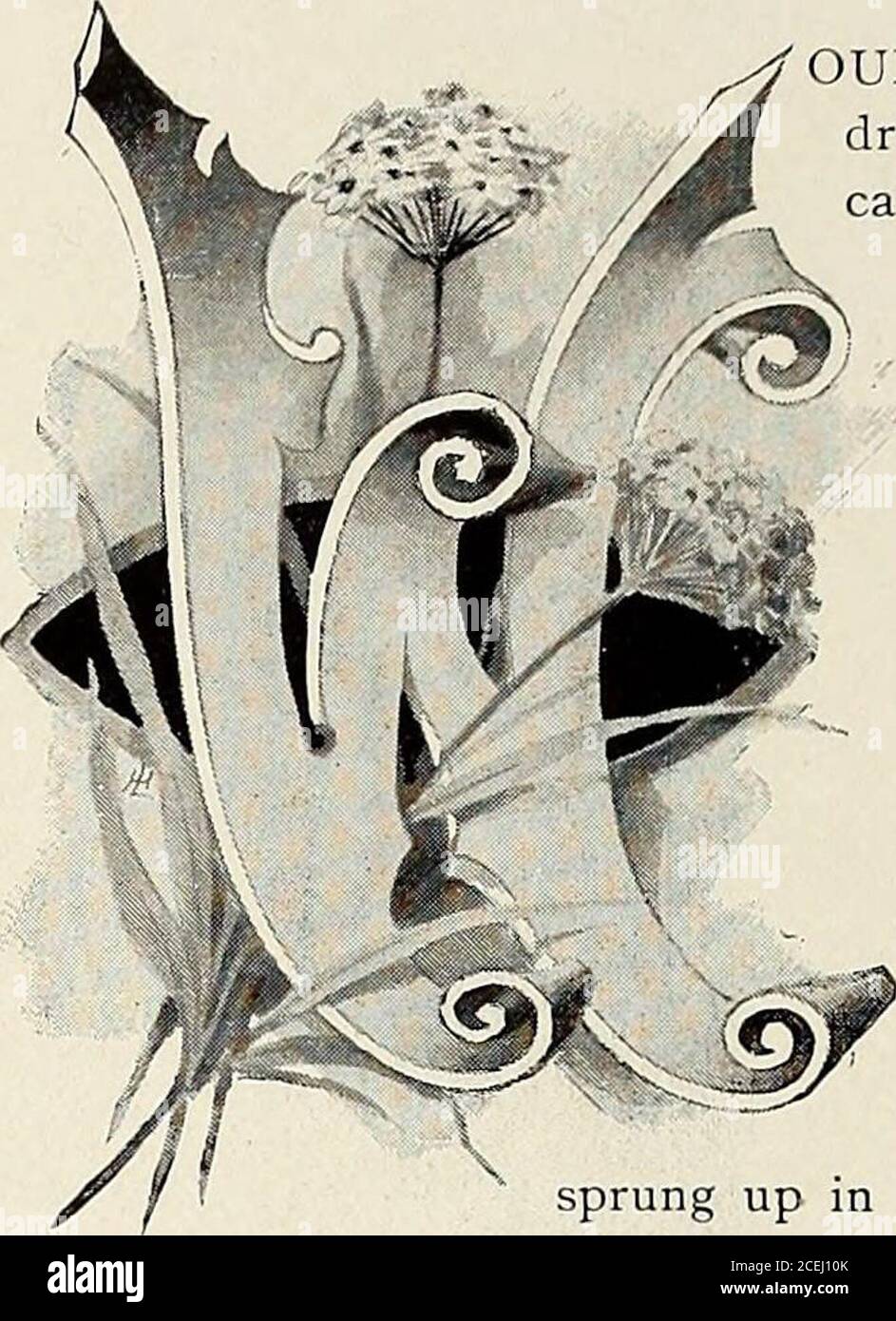 Sillabo 235 La Storia Di Un 8li Ould Ti Piace Sapere Come Quattro Parole Una