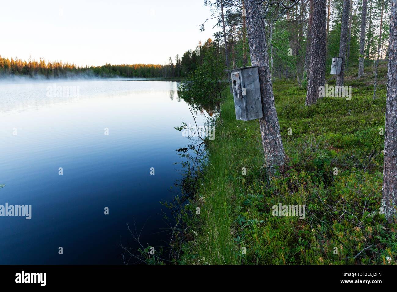 Una scatola di annidamento in legno vicino a un piccolo lago forestale nella Finlandia settentrionale. Foto Stock