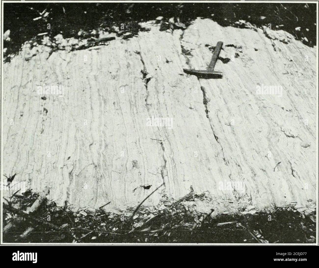 . Ontario Sessional Papers, 1914, No.3-9. Prophyre sulla rivendicazione di estrazione L. 2445 in NorthwestLebel. I fenocristi di augite stanno alterando a hornblende. Lamprophyre è ben esposto a sud del mulino presso la miniera di Oakes•. Analisi di Lamprophyre 1. 2. Per cento. Bilica 48.50 52.29 allumina 22.43 19.38 ossido ferrico 2.85 4.40 ossido ferroso 4.78 6.00 Lime 7.62 7.79 magnesia 1.16 3.54 Potash 3.56 4.12 Soda 3.38 2.12 anidride carbonica 3.72 acqua 2.26 .95 1. Lamprophyre da Wishman Claim, N.E. di Kirkland lago. 2. Lamprophyre, a nord del fiume Blanche principale, città di Eby. Analista, E. L. Bruce. Foto Stock