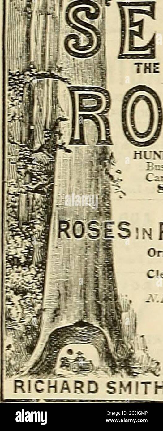 . La Cronaca dei Gardeners : un giornale settimanale illustrato di orticoltura e soggetti alleati. r l'incoraggiamento di Trift la Banca riceve piccoli importi su deposito, e permette interessi al tasso di DUE-E-UN-MEZZO PER CENTO, all'anno su ogni completato £1. BIRKBECK COSTRUZIONE SOCIETY.HOW PER ACQUISTARE UNA CASA PER DUE GUINEASPER MESE. BIRKBECK TERRA FREEHOLD SOCIETY.HOW PER ACQUISTARE UN TERRENO PER FIVESHILLINGS AL MESE. Il BIRKBECK ALMANACK, con particolari completi, post-albero. FRANCIS KAVENSCROFT. Manager. COLAZIONE-CENA. E P P S S GRAZIE-CONFORTANTE. ACQUA BOLLENTE O LATTE DI CACAO. 482 LA G Foto Stock