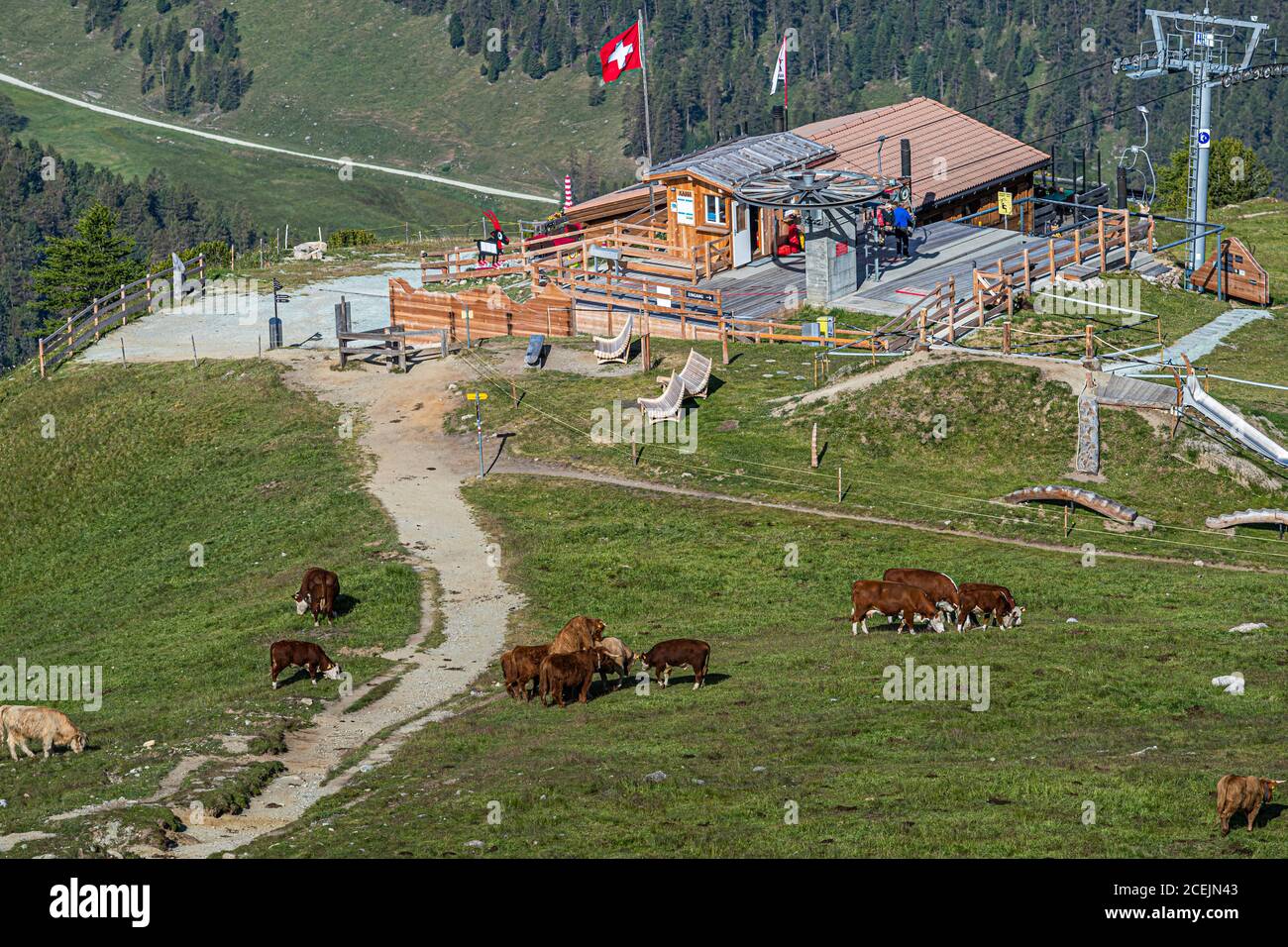 Stazione di montagna della seggiovia per Alp LANguard, Svizzera Foto Stock