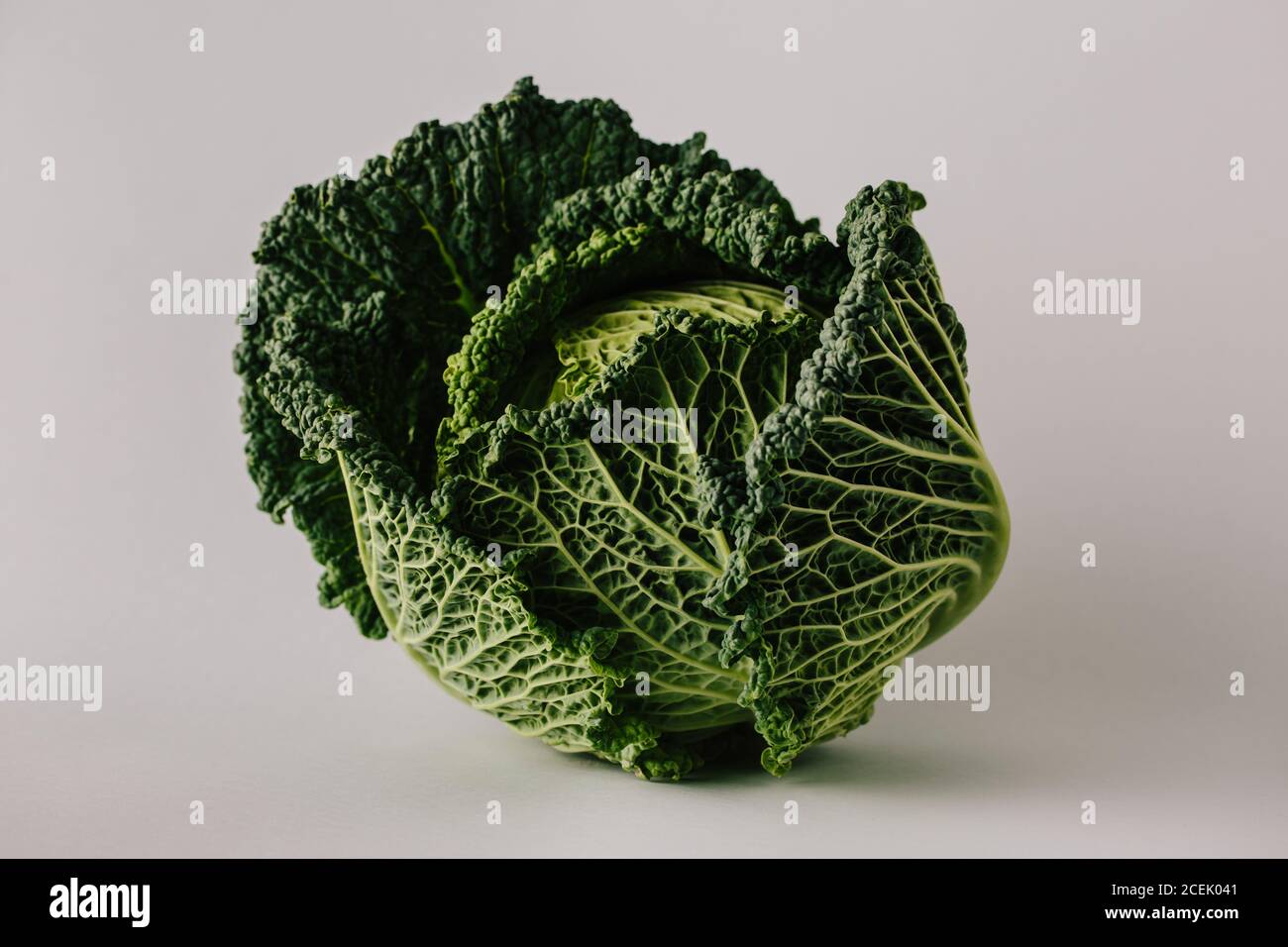 Testa di cavolo verde verdeggiante e matura su sfondo grigio Foto Stock