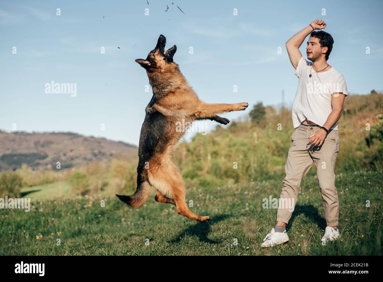 uomo che gioca con il cane in natura Foto Stock