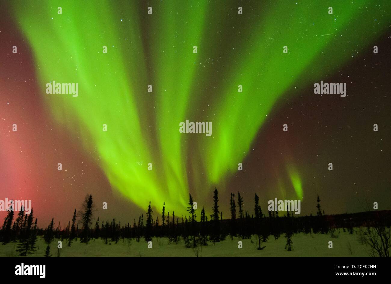 Nord America; Stati Uniti; Alaska; Valle Tanana; Inverno; Notte; Stelle; Cielo; fenomeno naturale; Aurora boreale; aurora boreale. Sotto la Mezza Luna Foto Stock
