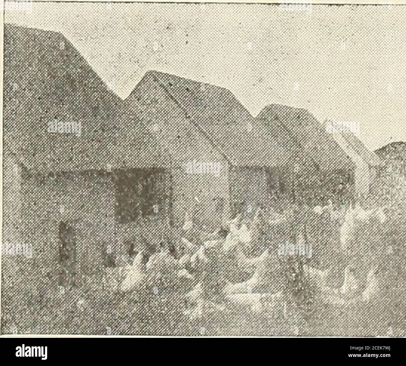 . Il Farm-pollame. Equire loro. Curtiss afferma inoltre che durante la stagione therush era necessario piazzare alcune case fino a trecento pulcini, e la perdita più grande msn.x^ -in qualsiasi di questi casi non ha ex-ceed dieci pulcini. Potete concepire un modo più economico e successfullacmode di arare pulcini? Avicolo-Raisers stanno prendendo il loro appa-ratus di riscaldamento da altre marche di broodersand installando nel loro posto i hovers universali di PrairieState. Siamo atpresent rimodellamento che covano le case grandi piante di pollame, togliendo i sistemi di tubo ex-pensive che havecomproved ha fallito un Foto Stock