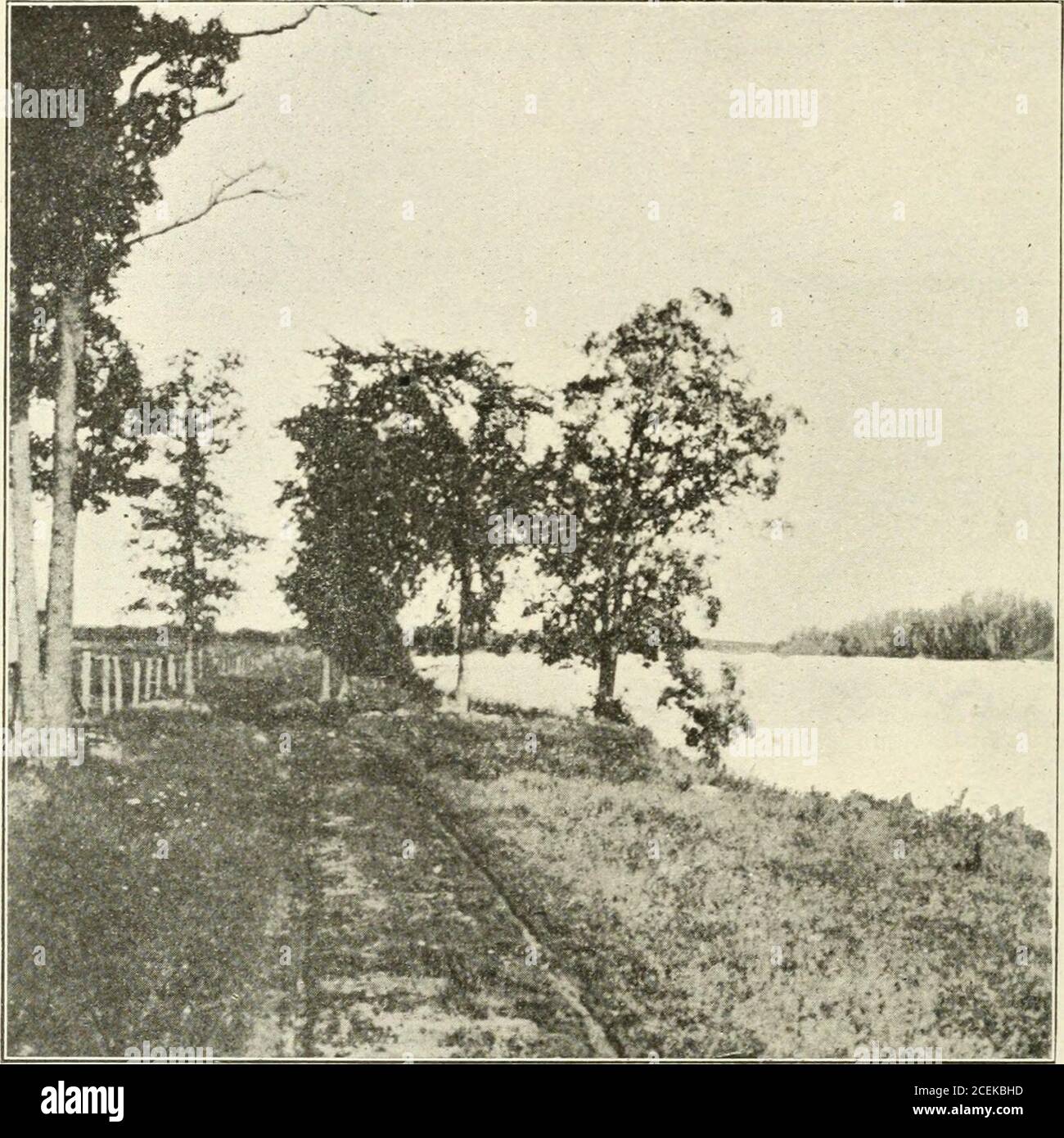 . Ontario Sessional Papers, 1914, No.3-9. ; N. W District of Rainy River, in Rainv RiverValley General Administration costa 182,523 93 3.866 71 6,692 16 193,082 80 dollari al 31 ottobre 1913. 83,313 38185,612 61 230,704 37 118,568 32 18,529 61 76,275 40 123,247 31 95,533 58 135,031 3114,356 39 1,081,172 28 dollari e struttura 1913. 48150 19072J29 35107 23i109 764 numero di chilometri di strada della boccola. 4 50 1381929 4 1223 279 Sintesi delle spese: 1912 193,082 80 1913 1,081,172 28 1,274,255 08 USD totale spese   USD J. F. Whitson, Abthub E. D. Bbuce, commissario responsabile della strada. Segretario e contabile. 12 Foto Stock