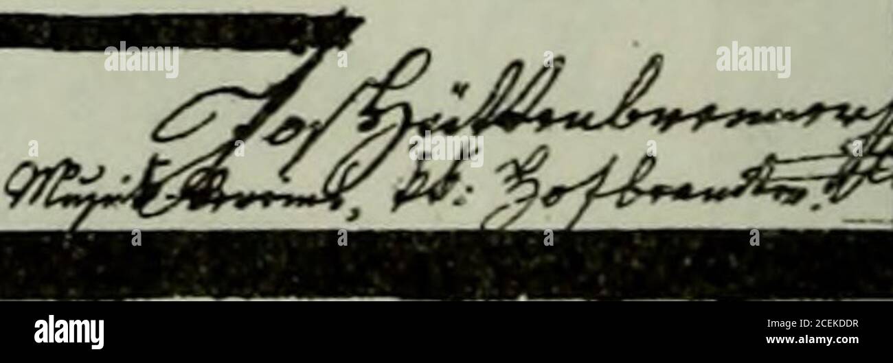 . Franz Schubert. Die Dokumente seines Lebens und Schaffens. sf^ ^^yKÄ^lac^ t >L€4/tlile»n/ *t**>>z&i c^nx/ne/ej (/zj t^/£&w??s c^/Y/n^wn/ tti stfi?n r yj i^j-£^i-JL. (£ittlabung gu 6d)ubert3 Totenfeier an feinen QSafer grau Diegierungörat 2Inna (Siegmunb, 2Sien(auögeftellf im (Sü^u&ert-DIIufeurn, 2Bien) 57 Foto Stock