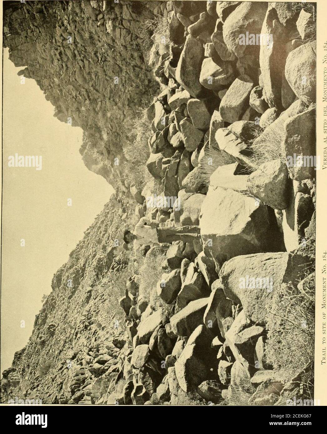 . Relazione della commissione di confine sull'indagine e la ri-marcatura del confine tra gli Stati Uniti e il Messico ad ovest del Rio Grande, 1891-1896 ... milar a thosefound in rocce sulla riva del mare. A pochi chilometri a nord del confine, nella Sierra del Tule, cime ireseverali di roccia grigia curiosamente ricoperte di trappola nera o lava, una delle quali, chiamata la Cerrode la Cabeza Prieta, è un punto di riferimento molto i)RONAL quando si attraversa il deserto di Tule. Un vulcano estinto, i cui lati sono curiosamente striati di lava nera, si trova sul lato ovest della Sierra del Tule, a circa 3 miglia a nord del wag Foto Stock