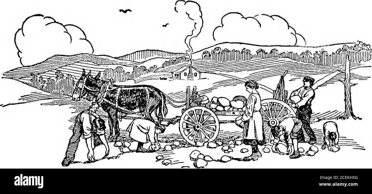 . Gli uomini delle montagne; la storia dell'alpinista meridionale e del suo parente piemontese; Con un resoconto di alcune delle agenzie di progresso tra loro. f un ministro che visita per la prima volta una di queste case lontano indietro nel moun-tains, e là ad una famiglia httle che racconta la storia di thecross. Lo seguirono con volti stuprati; e quando aveva concluso, la madre, appoggiandosi verso di lui, sussurrò hoarsely: Straniero, dite che tutto questo è accaduto molto tempo fa?Sì, ha detto, quasi duemila anni fa.e lo inchiodarono a quell'albero del thar quando hehadnt non ha fatto niente per ferire em; soltanto l Foto Stock