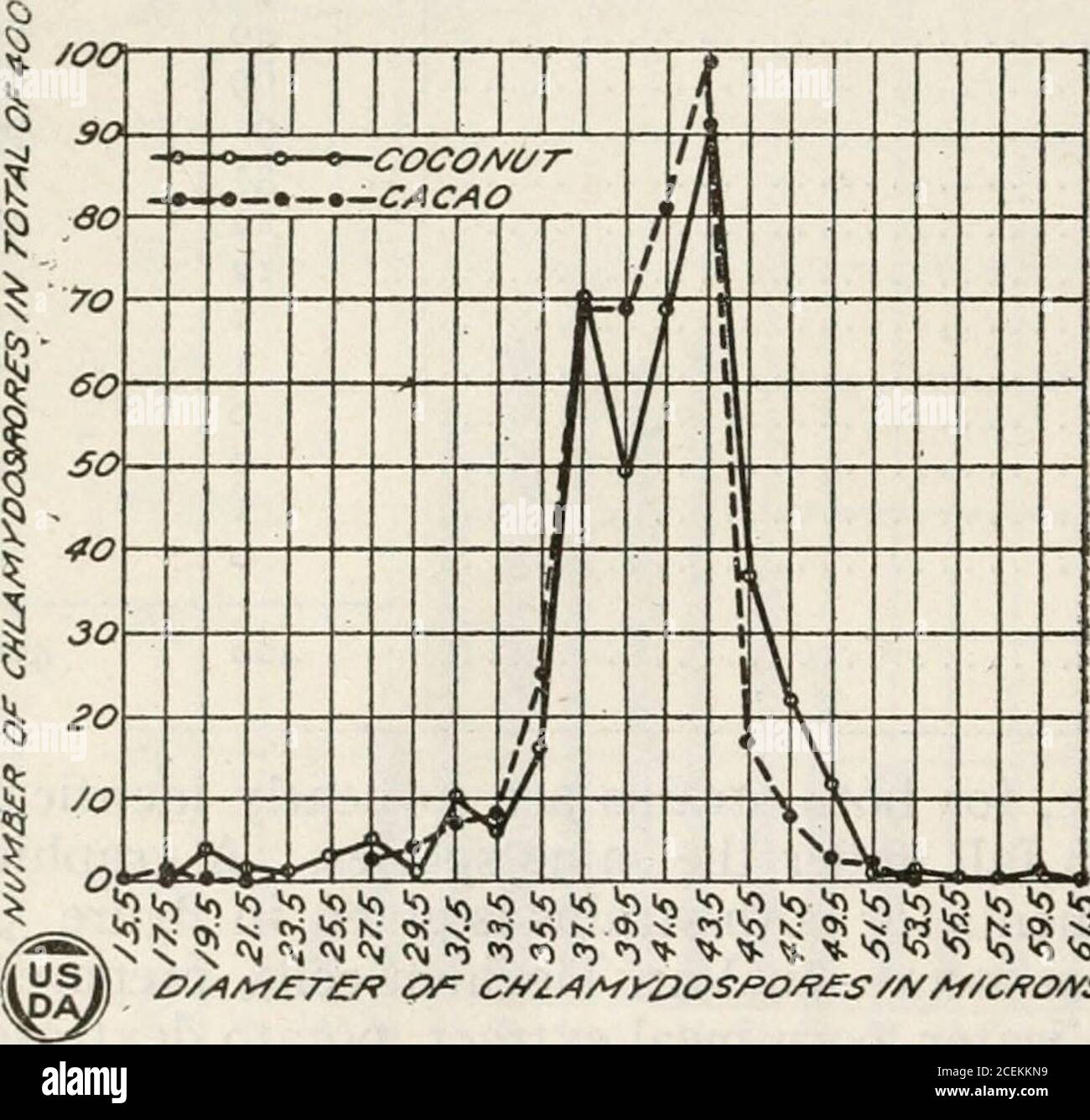 . Journal of Agricultural Research. n byMaublanc (4) nel 1909 sul cacao (Theobroma cacao) corrisponde anche molto a quello dei due ceppi studiati dallo scrittore. Nel 1907 Butler (2) descrisse una nuova specie di un Phycomycete ricorrendo a vari ospiti, tra cui il cocco (Cocos nucifera), sotto il nome di Pythium palmivorum. Più tardi nel 1918 (j), il genere wastransed a quello di Phytophthora senza ridescrivi. Nel 1907Ashby (z), in un articolo su due malattie della palma di cocco in Giamaica, ha attribuito la causa del brutto a Phytophthora Palmivorum Butl. Dopo aver presentato una cultura Foto Stock