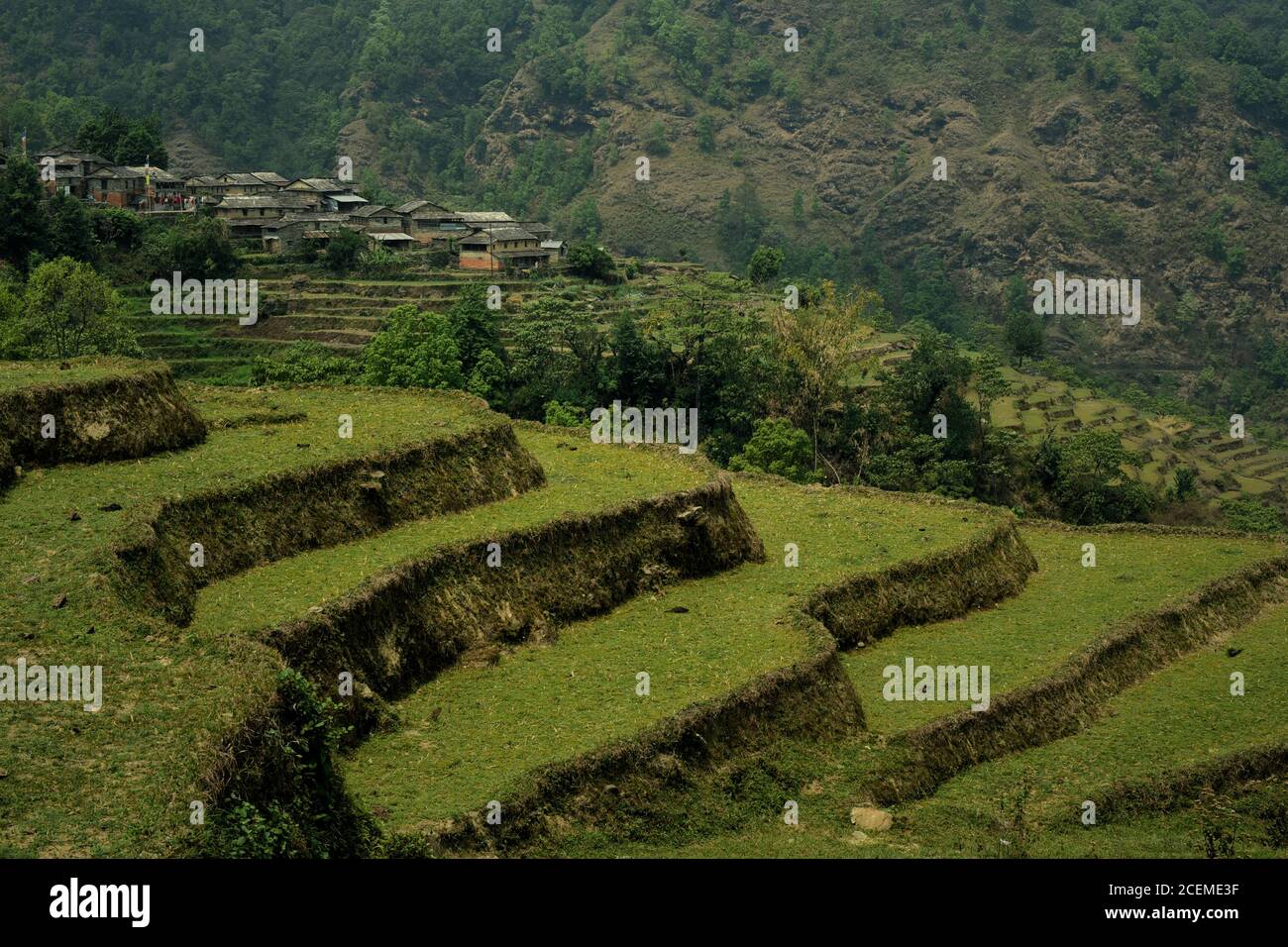 Paesaggio del villaggio agricolo di Sidhane in Kaski, provincia di Gandaki Pradesh, Nepal, dove la comunità gestisce anche ecoturismo. Foto Stock