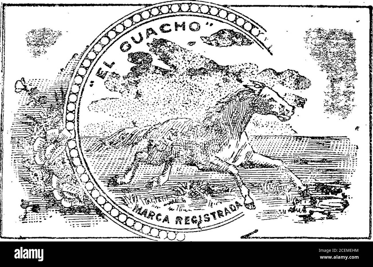 . Boletín oficial de la República Argentina. 1916 sección. ACTA n. 51.015.. Dicembre 29 de 1915. – Trink Hnos. Yerba mate de la cíase 22. M : ¡ i - : . j . ! . v-10 ACTA n. B51.014. Foto Stock