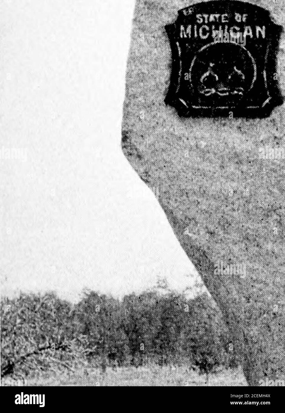 . Storia delle organizzazioni del Michigan a Chickamauga, Chattanooga e Missionary Ridge, 1863 [risorsa elettronica]. Circa la casa di Glenn, separato dal comando principale e circondato dal nemico, essi heldthis posizione più di un'ora, fino a quando sollevato da Wilders Brigade. Julius O. Campbell, privato, Azienda H, a destra della linea di demarcazione, uccisa nella strada vicino alla base di questa collina. Tutti gli altri marcatori sono di granito Westerly, due piedi sei pollici quadrati, con superficie lucidata, di un design approvato dal Dipartimento della Guerra. Le incrime-zioni su ciascuno designano semplicemente le posizioni dell'organizzazione Foto Stock