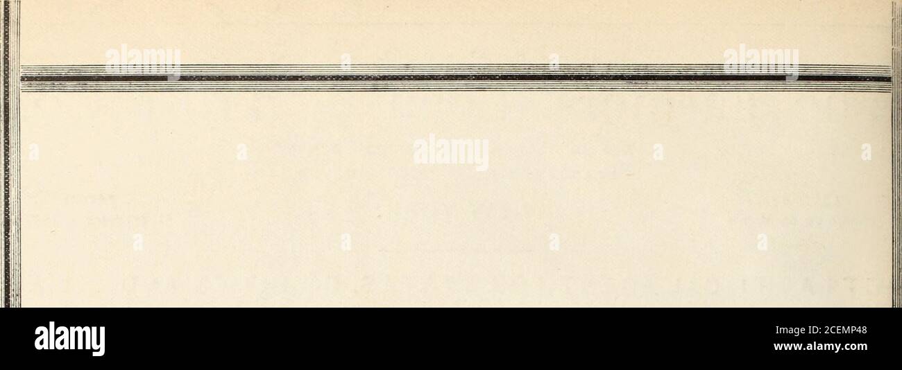 . La cronaca commerciale e finanziaria. N S. MARSTON, Presidente SAMUEL SLOAN, Vice-Presidente AUGUSTUS V. HEELY, Vice-Pres. E Secy.WILLIAM B. CARDOZO, Vice-Presidente. CORNELIUS R. AGNEW, Vicepresidente.HORACE F. HOWLAND, Asst. Segretario Robert E. BOYD, Asst. Segretario William A. DUNCAN, Asst. Segretario. CONSIGLIO DI AMMINISTRAZIONE HENRY A. C. TAYLOR.CHARLES A. PEABODY,WM. WALDORF ASTOR.D. O. MILLS, FRANKLIN D. LOCKE.J. WILLIAM CLARK.GEORGE F. BAKER, A. G. AGNEW, SAMUEL SLOAN, CLEVELAND H. DODGE, HUGH D. AUCHINCLOSS, D. H. KING JR., PERCY A. ROCKEFELLER, WILLIAM ROWLAND, EDWARD R. BACON.AUGUSTUS V. Foto Stock