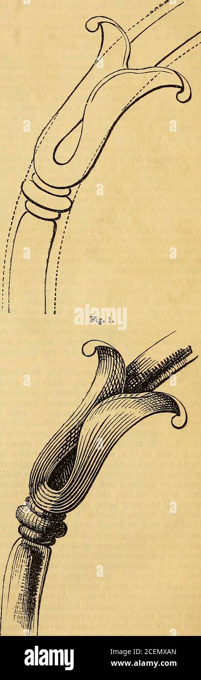 . Assistente del decoratore. Fig. 3 è il capitale di una colonna; i foglioageseems sono stati copiati dai capitelli earlyRoman. F. E. Exiles foe (Ornamental jBrabing. Con l'obiettivo di estendere una conoscenza di disegno e di disegno ofornamental, noi lo scopo. Fifr. 2, 166 IL DECORATORE S ASSISTANT. Fornendo una serie di disegni preparatori, mostrando le diverse curve necessariamente impiegataper produrre un'apparenza elegante e aggraziata. Nei numeri precedenti abbiamo detto il metodo di procedere; con il primo abbozzetto, tuttavia, darà il piano di nuovo. Fig. 1 è un contorno diagamico, che è co-recintato Foto Stock
