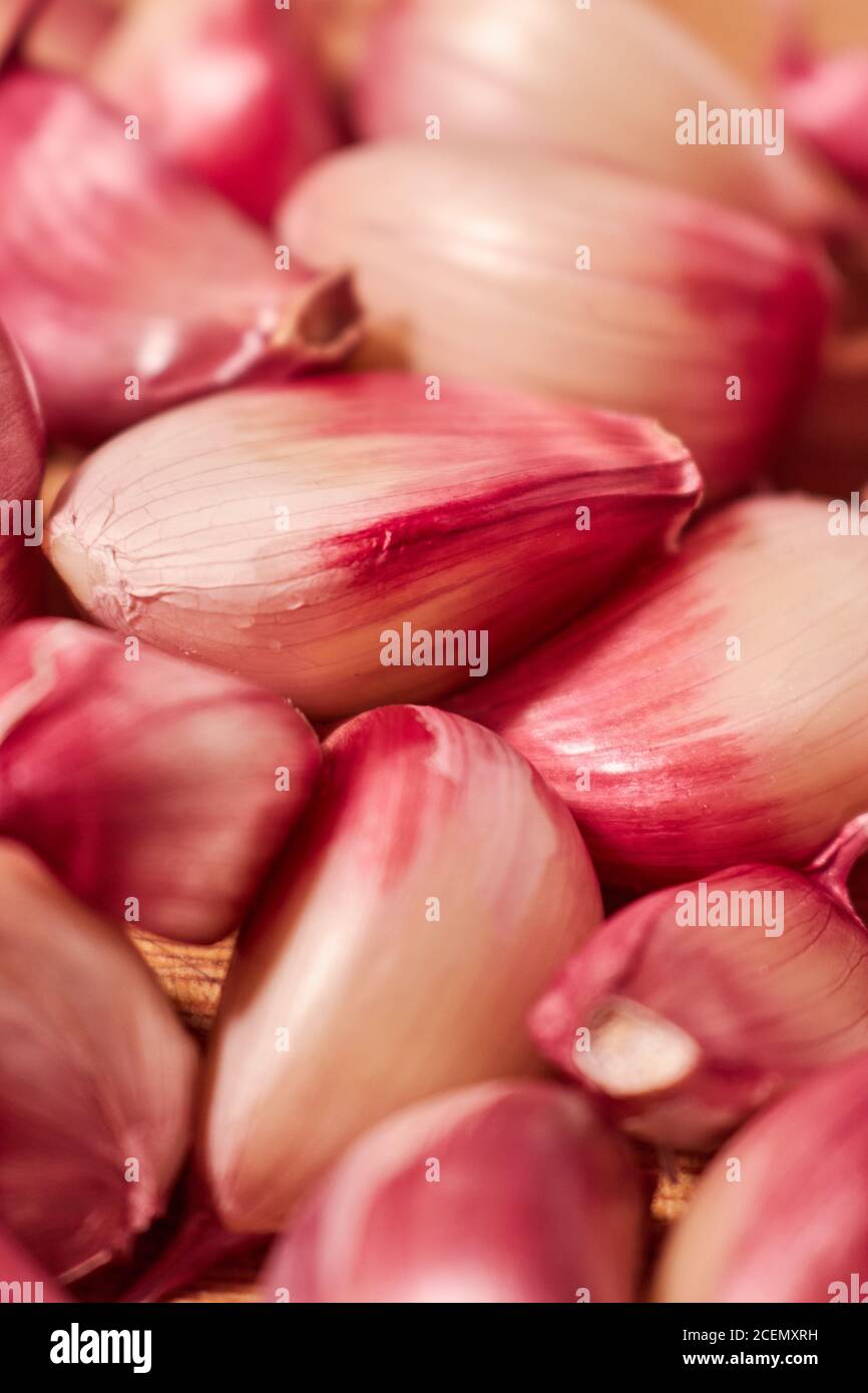 uno spicchio di aglio viola sciolto su sfondo di legno. Foto Stock