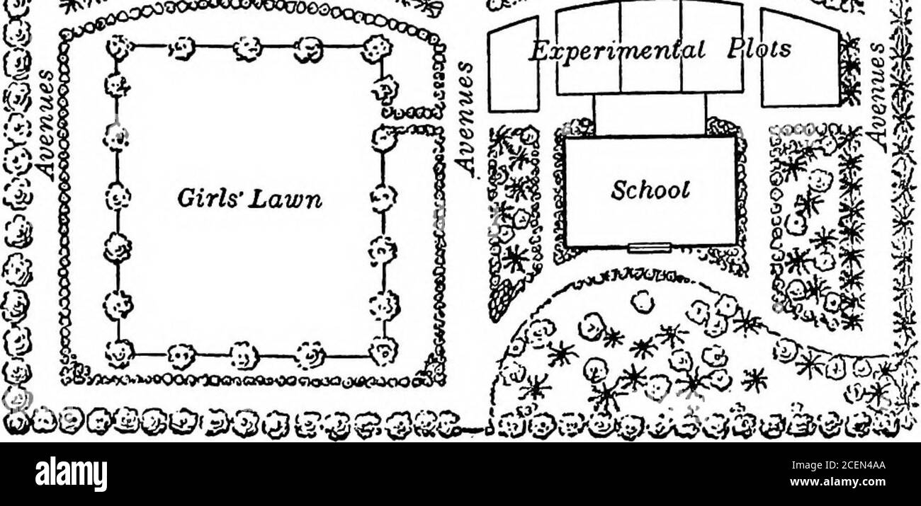 . La scuola rurale americana : le sue caratteristiche, il suo futuro e i suoi problemi. 1 ^ 1 io sono i 3^Cill 1 II 1 r kxperimenial Pilnts ^. Fig. 10.- •il piano di Macdonald ha consolidato i terreni scolastici e i giardini, Bowesvlle, Ontario, Canada. La provincia della Nuova Scozia è a capo della lista con 103 giardini scolastici nel 1905. Altre province orientali hanno estab-lied 25 giardini, 5 in ogni provincia, con l'arrivo del dium.rf di JTA.Dishes^ lPmm.s- 1 FZ/iit. Zieituce IFW 4 n outers a it. Jkrsnt/ts Beets or :m OK MIL. imr ft. 1 (sollevamento h. %o. /iion Jets u^op iafi(j(i-(»f^uo)»(yjfsnca (194) Fig. II. Garde scolastico irrigato Foto Stock