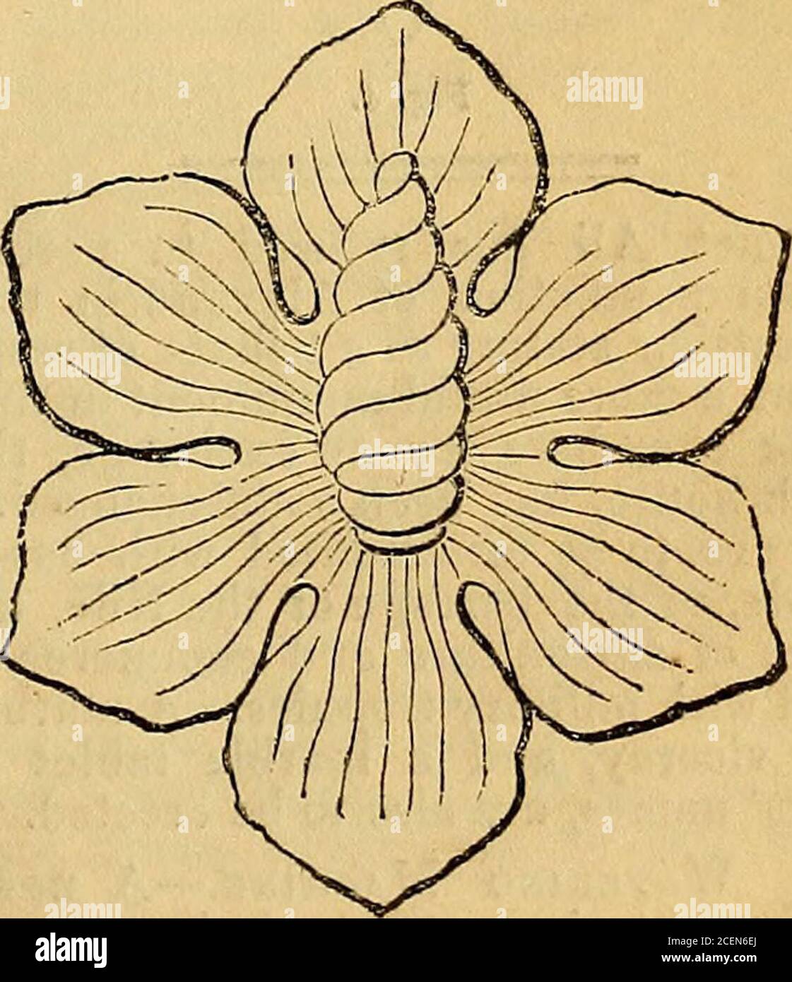 . Assistente del decoratore. Fig. 1.. Fig. 2. In primo luogo, colpire il cerchio esterno, il successivo (Fig. 3) è l'elevazione dell'anotherand dividerla in dodici parti uguali; poi si allontana dal tempio di Giove Tonans, disegnando una linea dal centro ad ogni divisione. Roma, il modo di colpire che è molto 110 IL DECORATORE S ASSISTENTE. Simile a quello di Fig. 1; ma avendo il disegno diviso il cerchio come sopra descritto,dividere la linea di raggio in tre parti dalla seconda divisione, come ad a, e colpire il semicerchio per la formazione della foglia, avendo cura, tuttavia, che tocchi Foto Stock