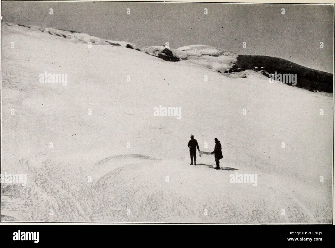 . Il portafoglio dei parchi nazionali. +»*+ &4f* &CJK *+* w ** - ^^r wSKM ^R HP* ^H HF ^^^H -?-? ? ?• ?^^fl .> . ^.*>: :*r Fotografia di Curtis & Miller Snout del ghiacciaio Nisqually dove inizia il fiume Nisqually (93). Foto di Cour lis & Miller Vicino alla cima del Monte Rainier Foto Stock