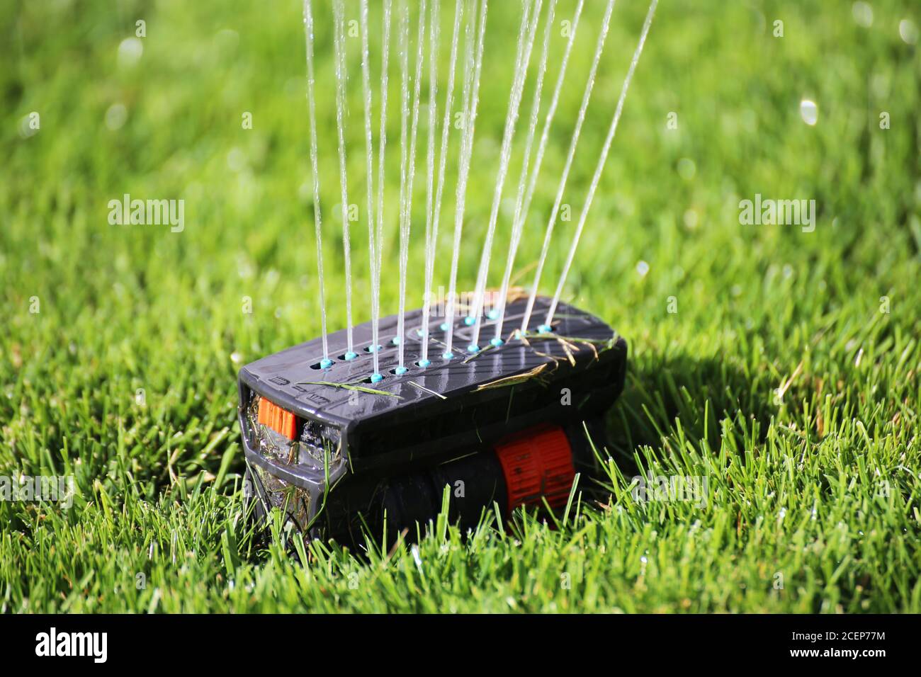 Irrigazione del giardino immagini e fotografie stock ad alta risoluzione -  Alamy