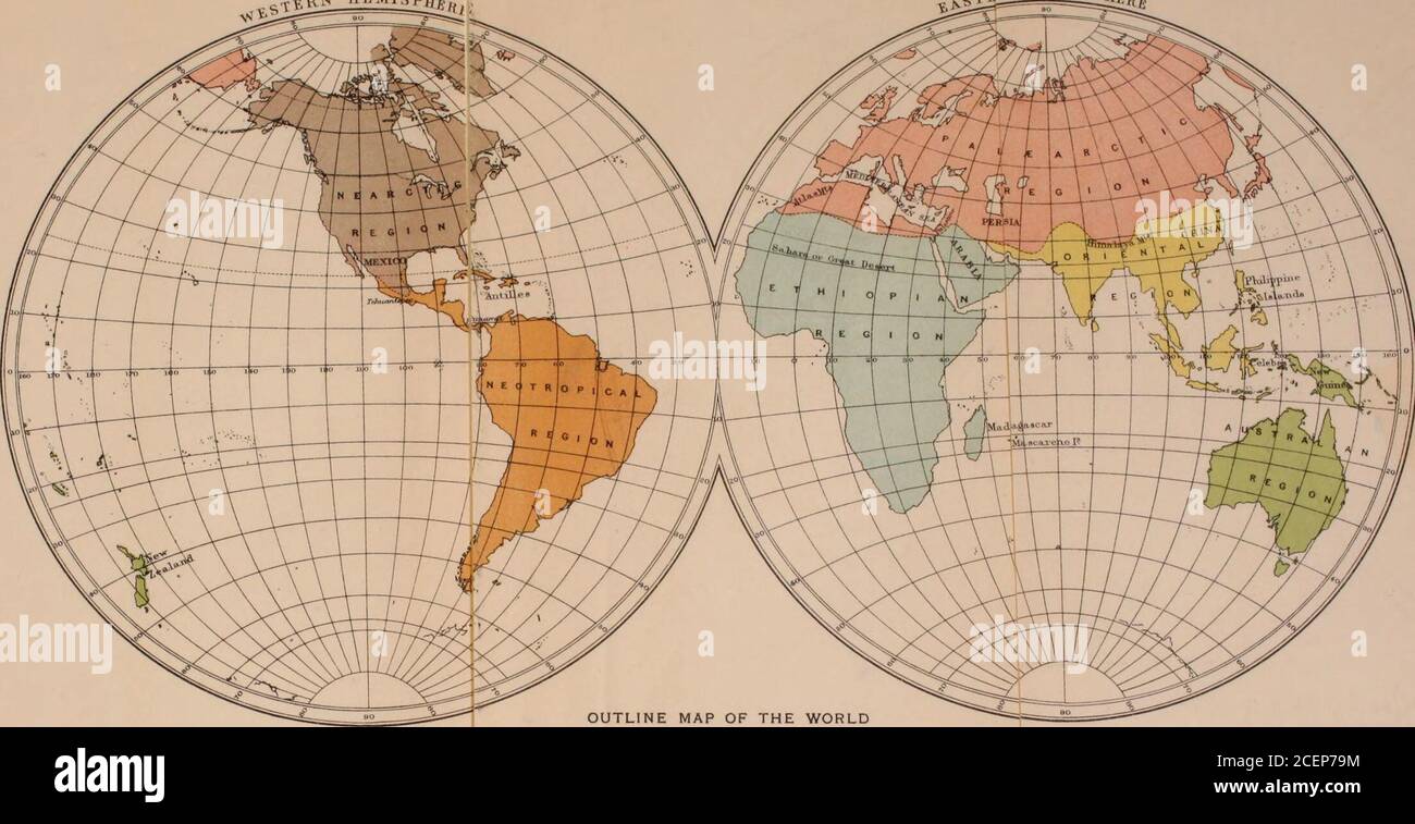 . La geografia dei mammiferi. Ebies.Total. A? =3 S p* ft 3OH a §12 la OH W o H o 1. Australiano . 7 4 11 22 51 6 27 84 284 2. Neotropical 10 5 13 28 103 15 12 130 501 3. Etiope . 10 2 30 42 99 3 48 150 577 4. Oriental 2 1 33 36 39 10 64 113 557 5. Neartico 2 0 20 22 21 2 43 66 192 6. Palsearchtic . 0 0 32 32 25 4 74 103 448 Tabella II I numeri riportati nella tabella I. sono ridotti alle percentuali di TotalNumbers of Families e Genera. Famiglie. Generi. Regioni. Endemico. Quasi-endemico. Ampia diffusione. Endemico. Quasi-endemico. Ampia diffusione. 1. Australia 2. Neotropico . 3. Etiope . 4. Orientale . 5. Neartico . 6 Foto Stock