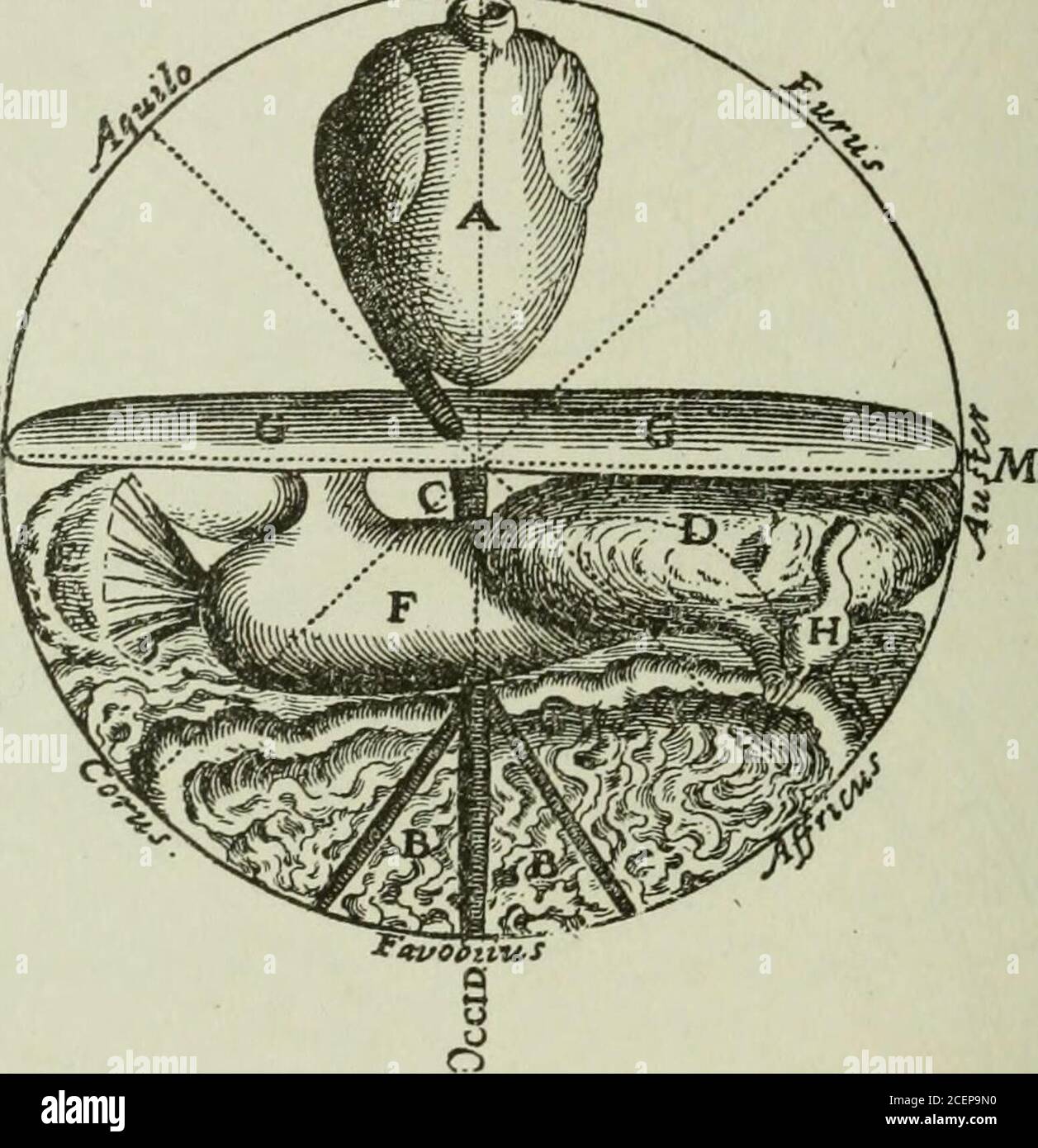 . Studi nella storia e nel metodo della scienza. Fig. 7. MELOTHESIAE da R. Fludd, Historia utriusque cosmi, Oppenheim, 1619, pp. 112 e 113. 42 VISIONI E VISIONI SCIENTIFICHE e cose striscianti che si aggiungono alle miserie del purgatorio orat volte vengono a terra superficie per piagare l'umanità. Queste sezioni settentrionali e meridionali mostrano poco con disposizione teiridenticamente invertita la credenza nell'antipodesaninversione del clima, un'idea accennata più volte in Hildegardswritings, Ma più sicuramente illustrato da una figura di Herrade deLandsberg (Fig. 5). Schemi macrocosmici del tipo illus Foto Stock